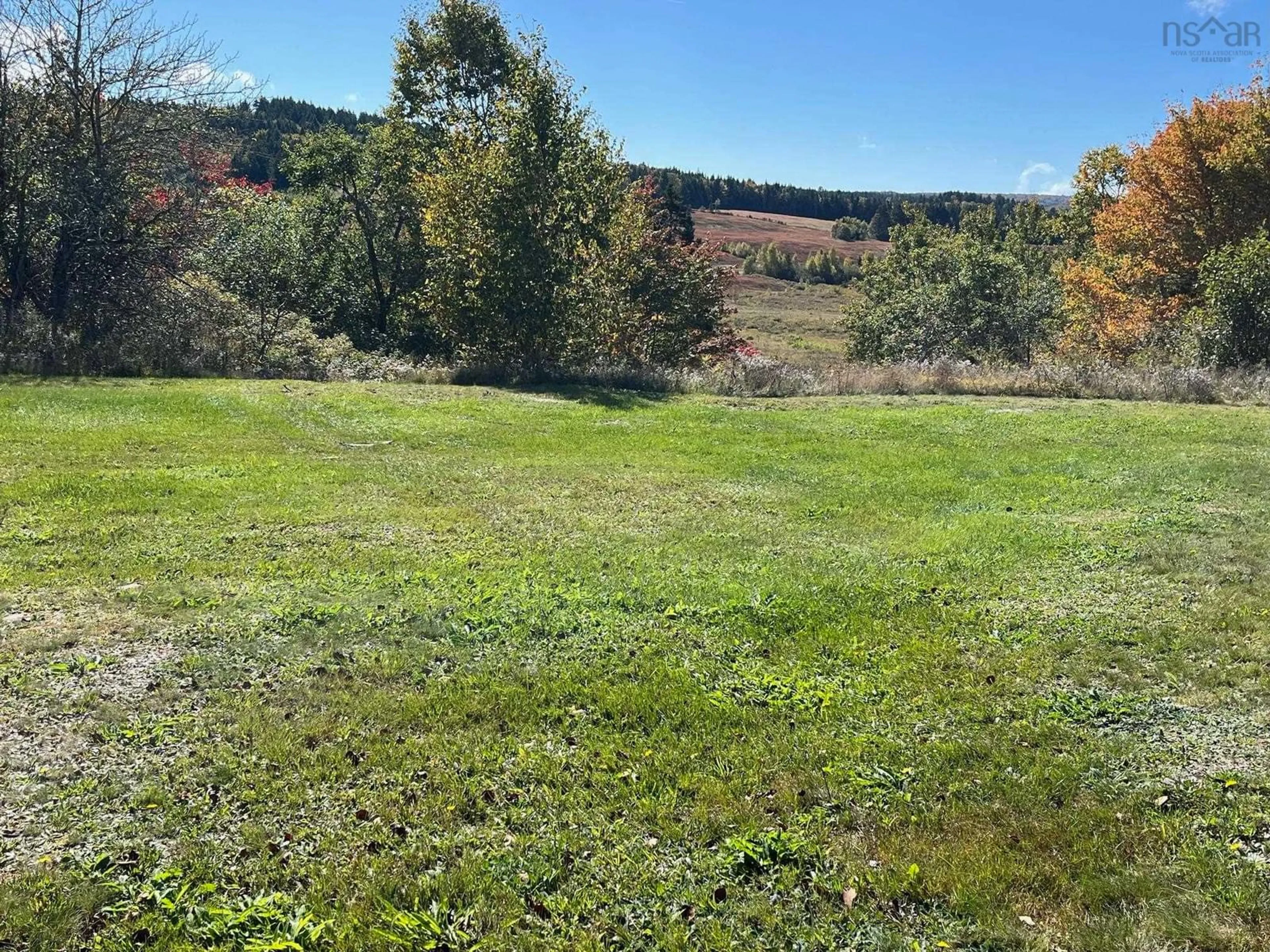 A pic from outside/outdoor area/front of a property/back of a property/a pic from drone, forest/trees view for 98 South Branch Rd, New Salem Nova Scotia B0M 1S0