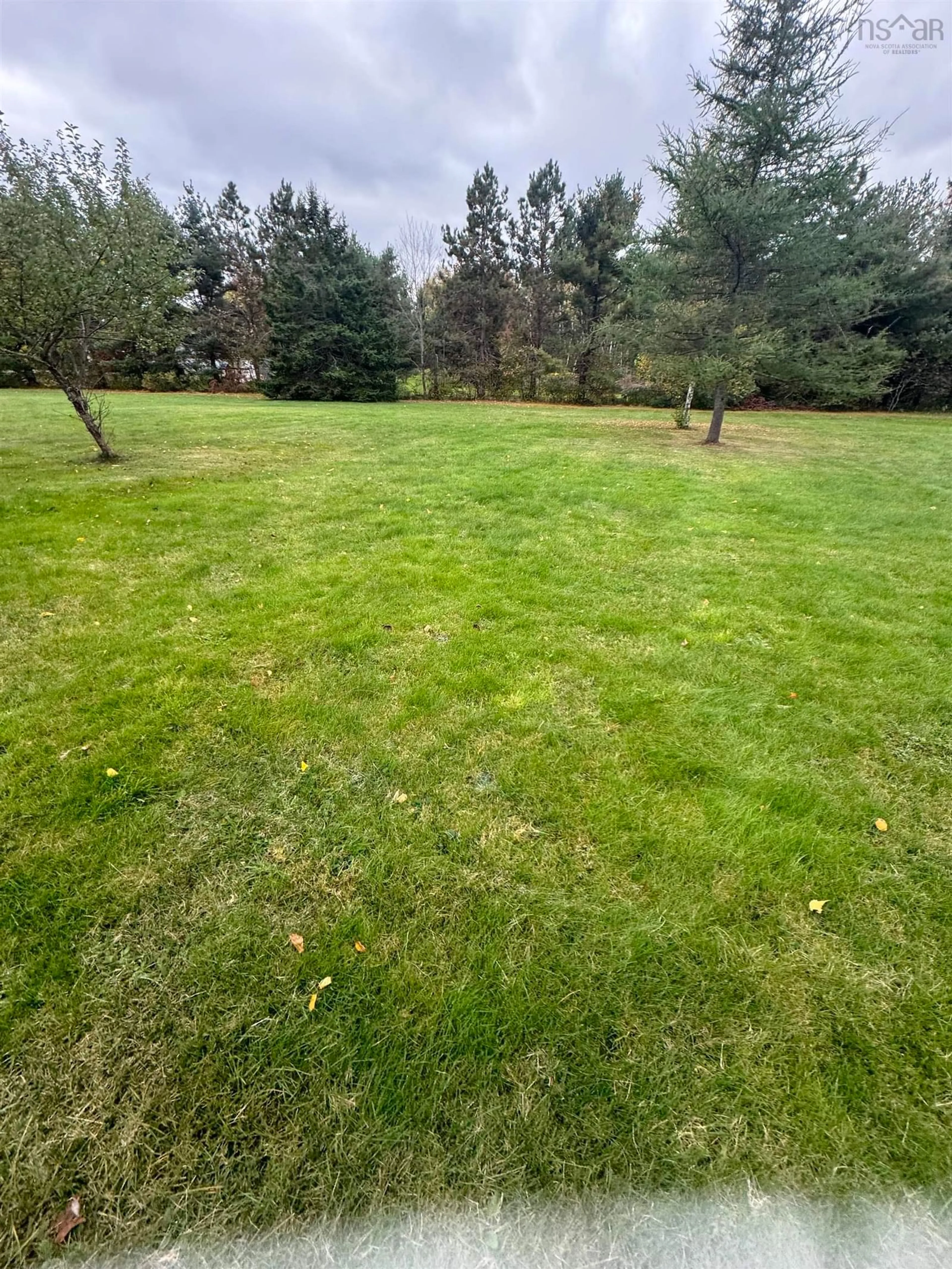 Frontside or backside of a home, the fenced backyard for 8373 Highway 311 Hwy, Balfron Nova Scotia B0K 1V0