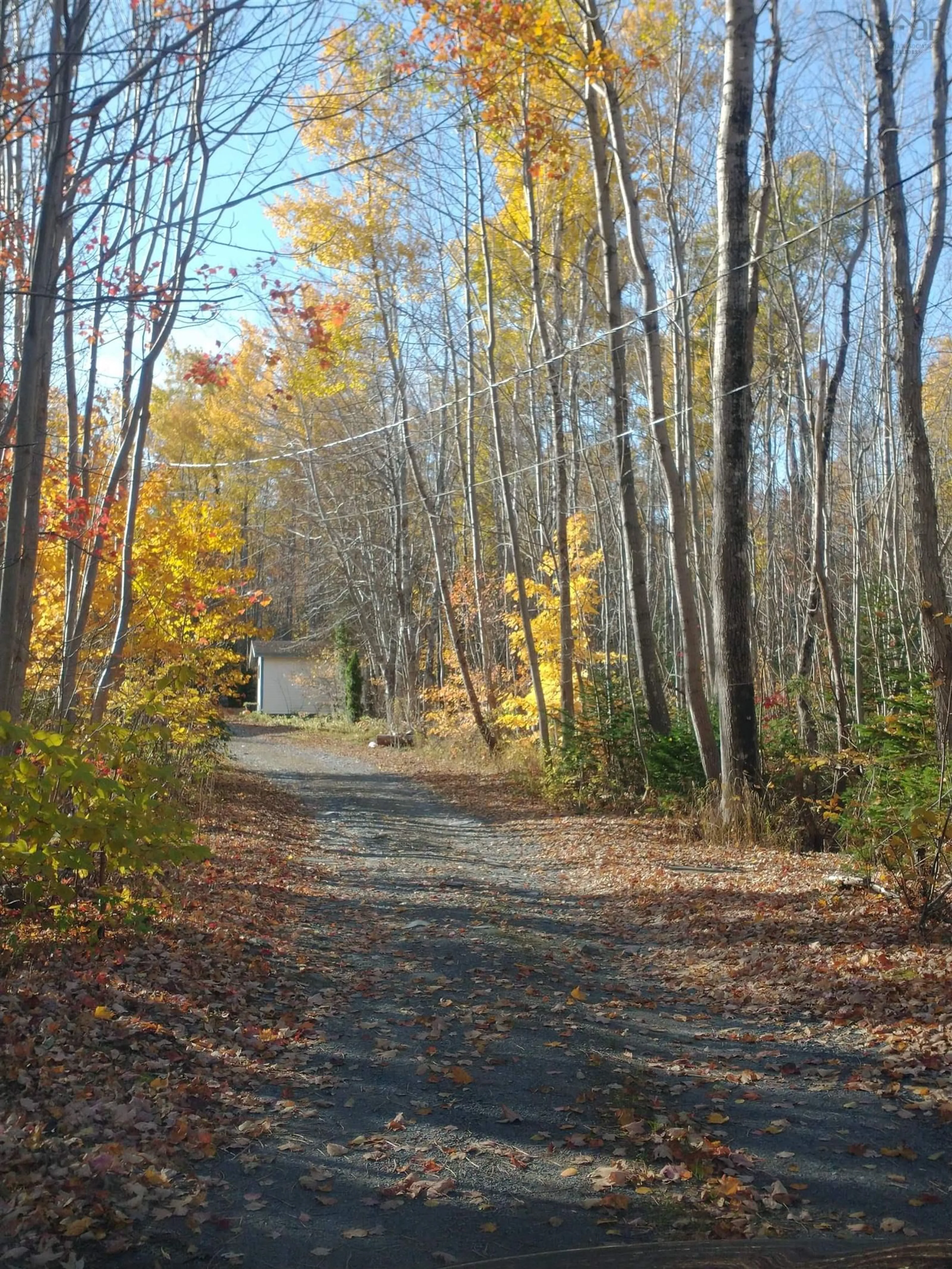 A pic from exterior of the house or condo, the street view for 3258 Prospect Rd, Cambridge Nova Scotia B0P 1G0