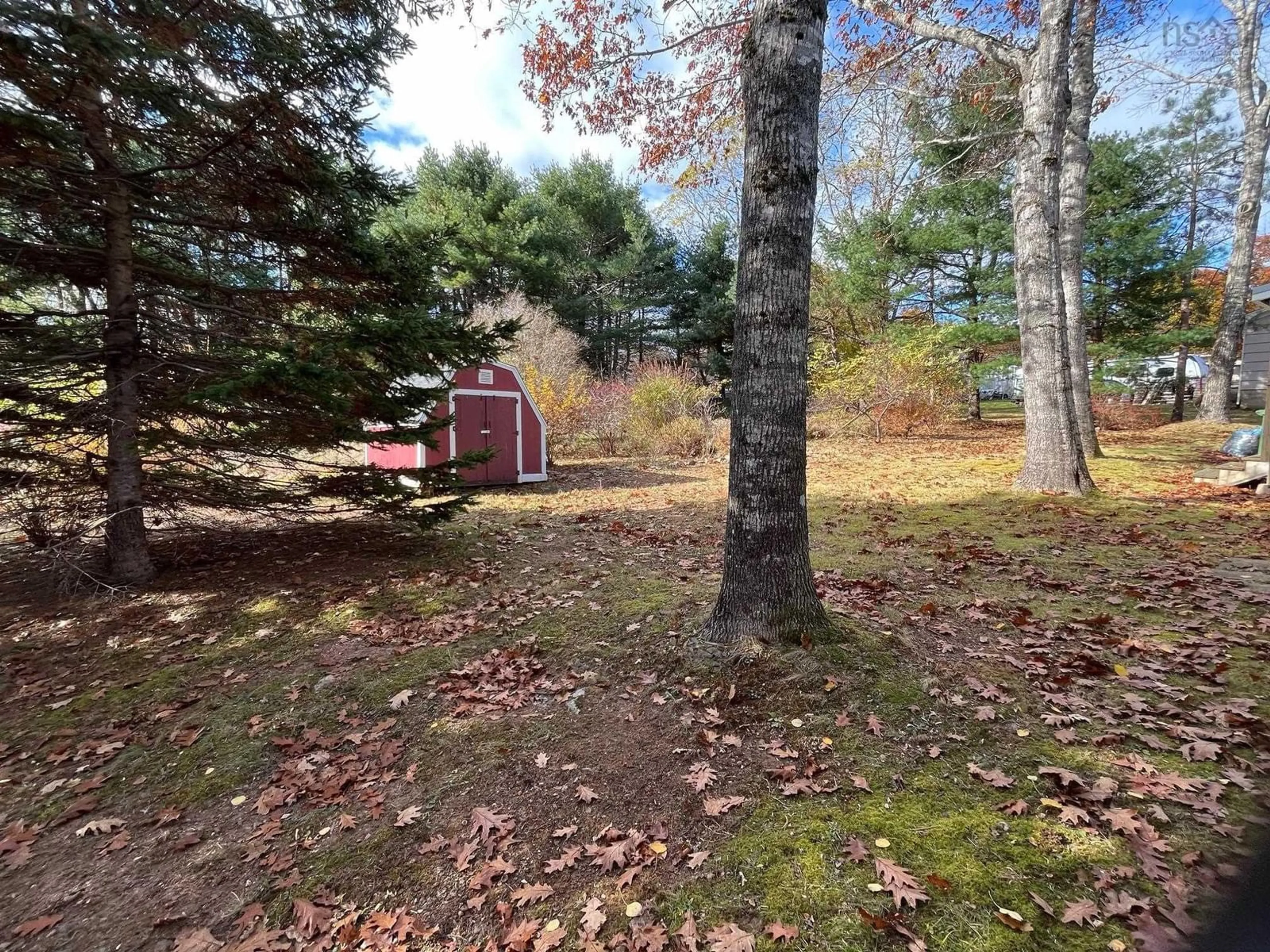 Shed for 20 Beech St, Oakhill Nova Scotia B4V 0B8