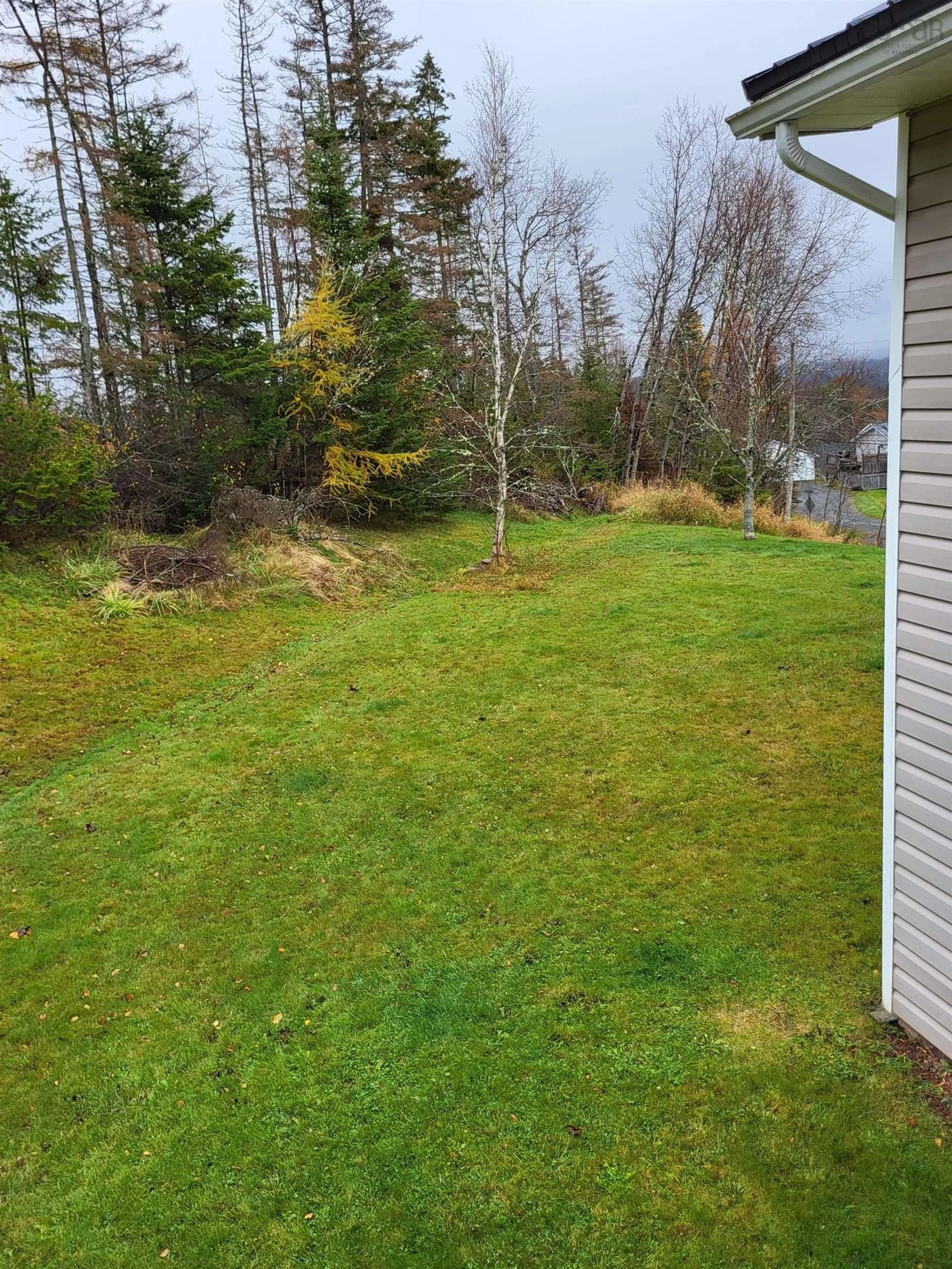 Frontside or backside of a home, the fenced backyard for 28 Blainedale Dr, Salmon River Nova Scotia B2N 6M3