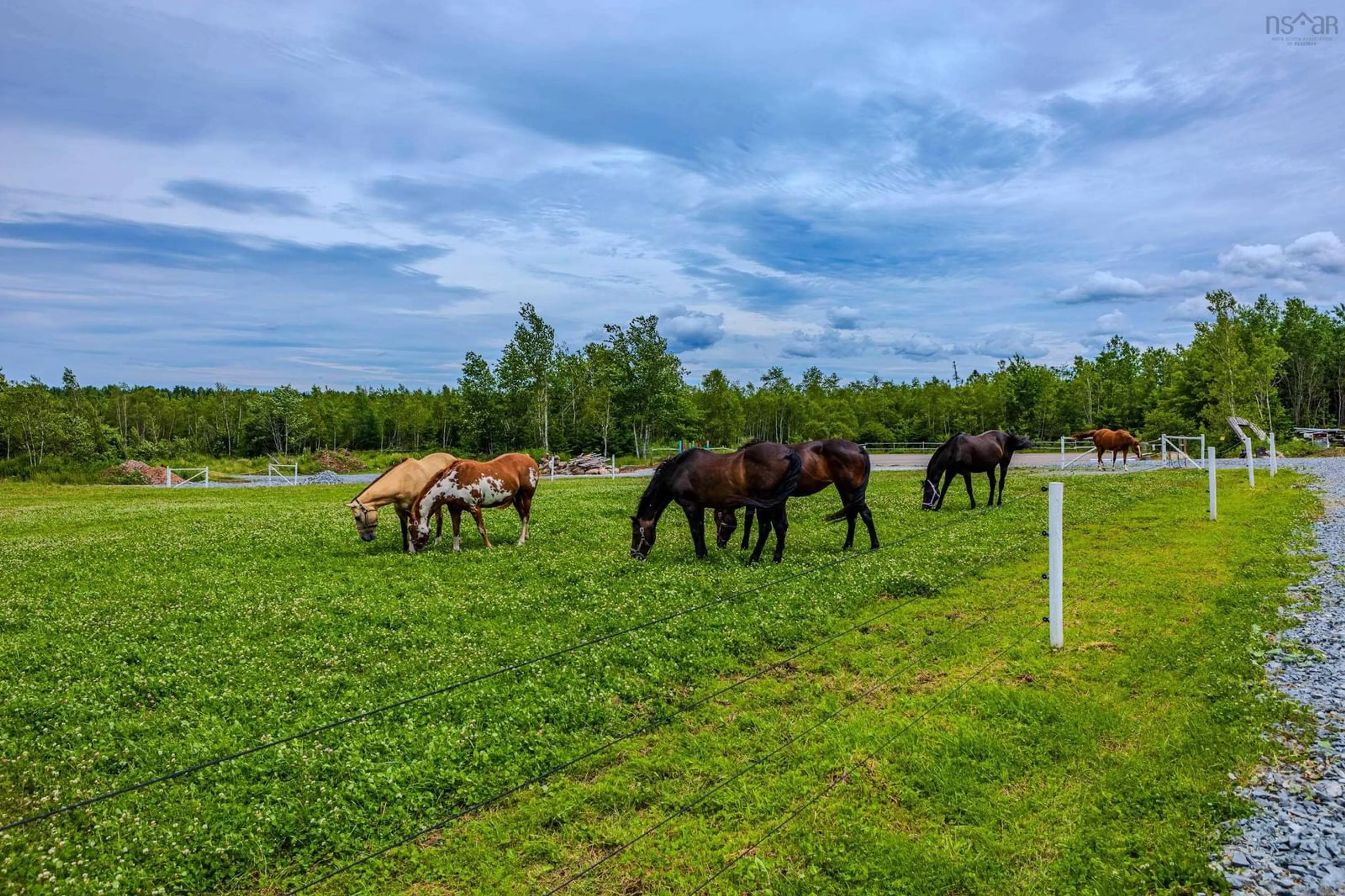 Patio, the fenced backyard for 1554 Pleasant Valley Rd, Green Creek Nova Scotia B0N 1C0