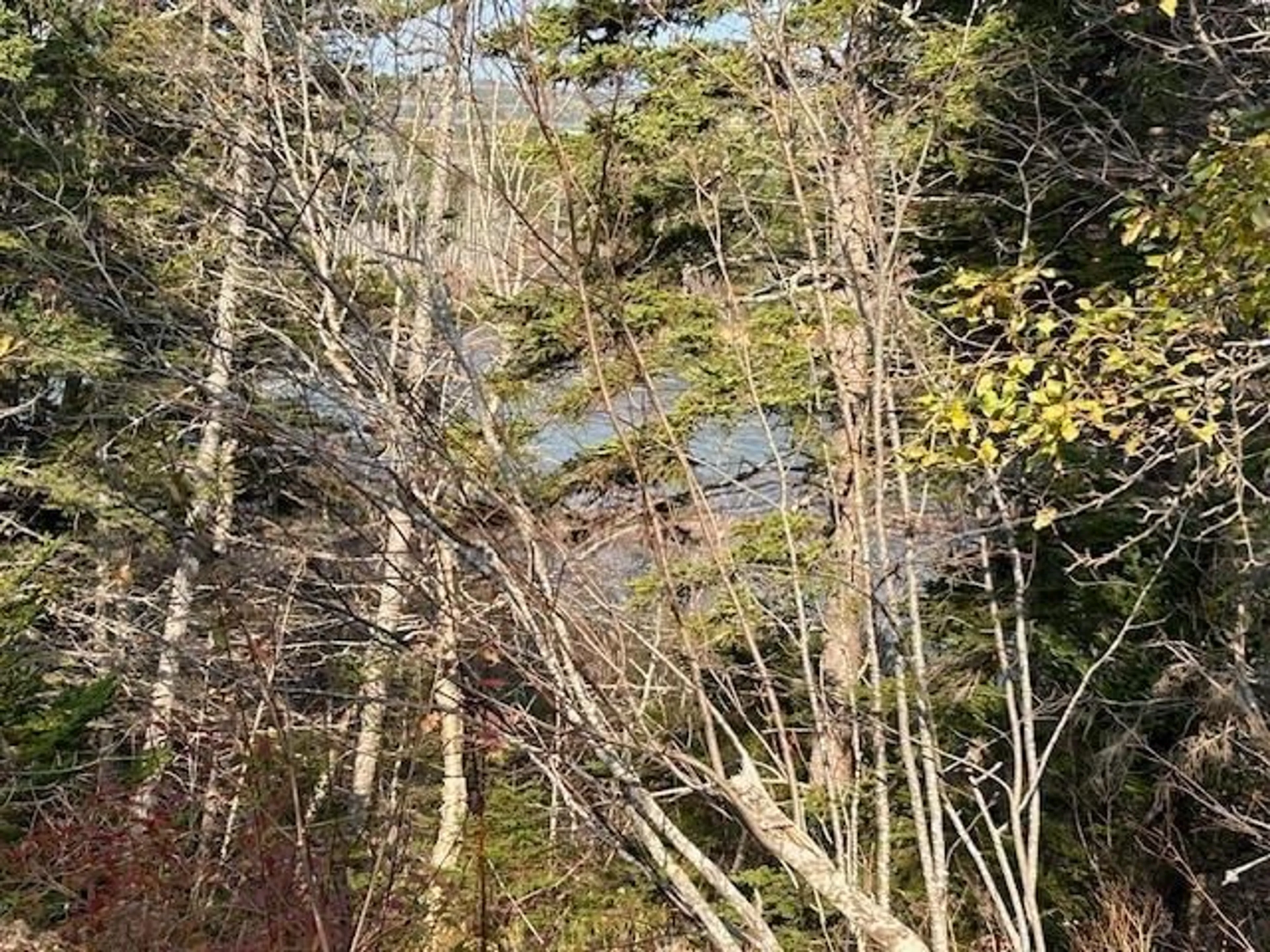 A pic from exterior of the house or condo, the view of lake or river for 499 Corbetts Cove Rd, Corbetts Cove Nova Scotia B0E 3B0