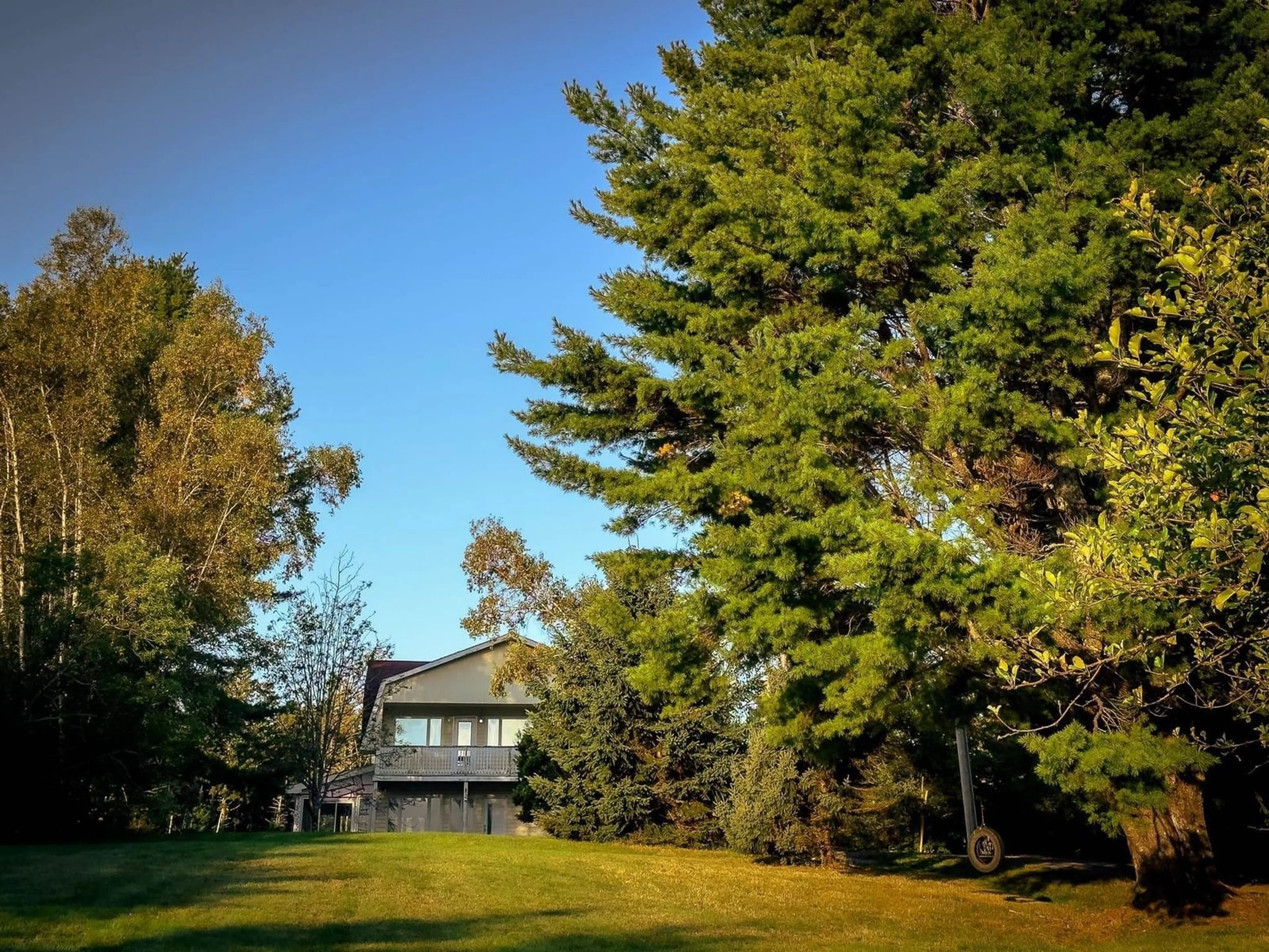 A pic from exterior of the house or condo, the fenced backyard for 36 Whitetail Lane, Maders Cove Nova Scotia B0J 2E0