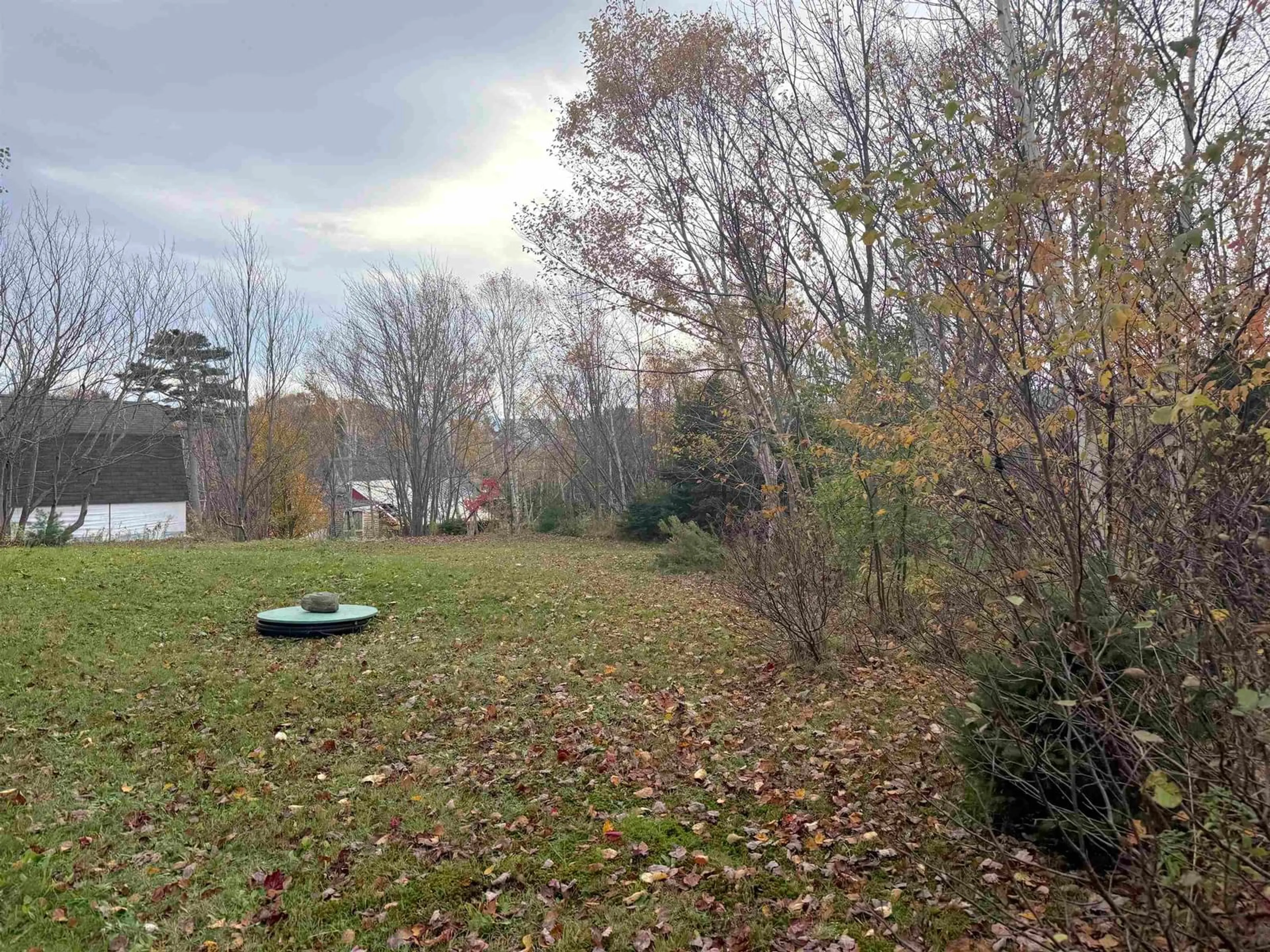 Frontside or backside of a home, the fenced backyard for 53 Maplewood Dr, Ingonish Nova Scotia B0C 1K0