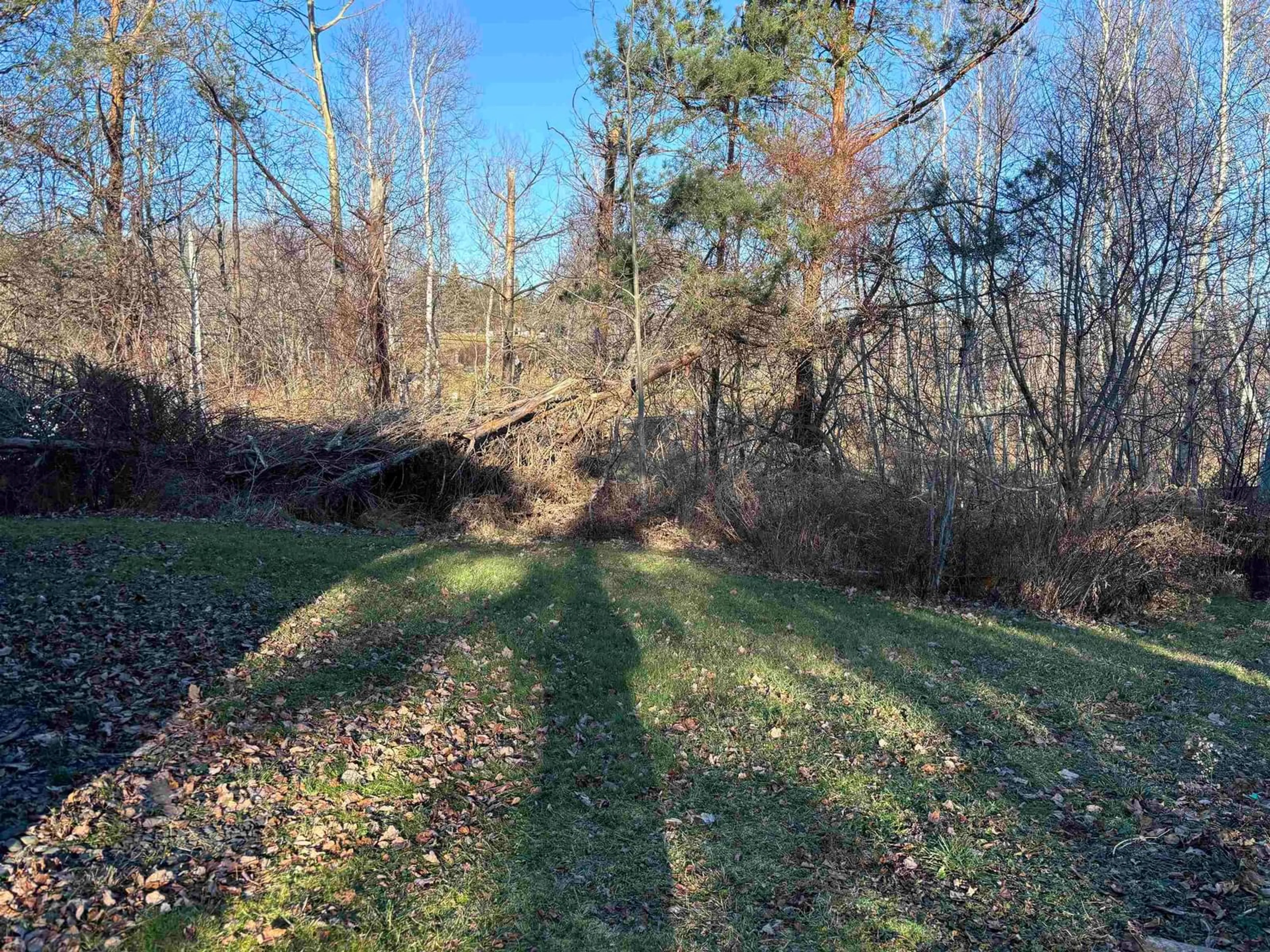 A pic from outside/outdoor area/front of a property/back of a property/a pic from drone, forest/trees view for 102 Hillside Rd, Hillside Nova Scotia B0K 1X0