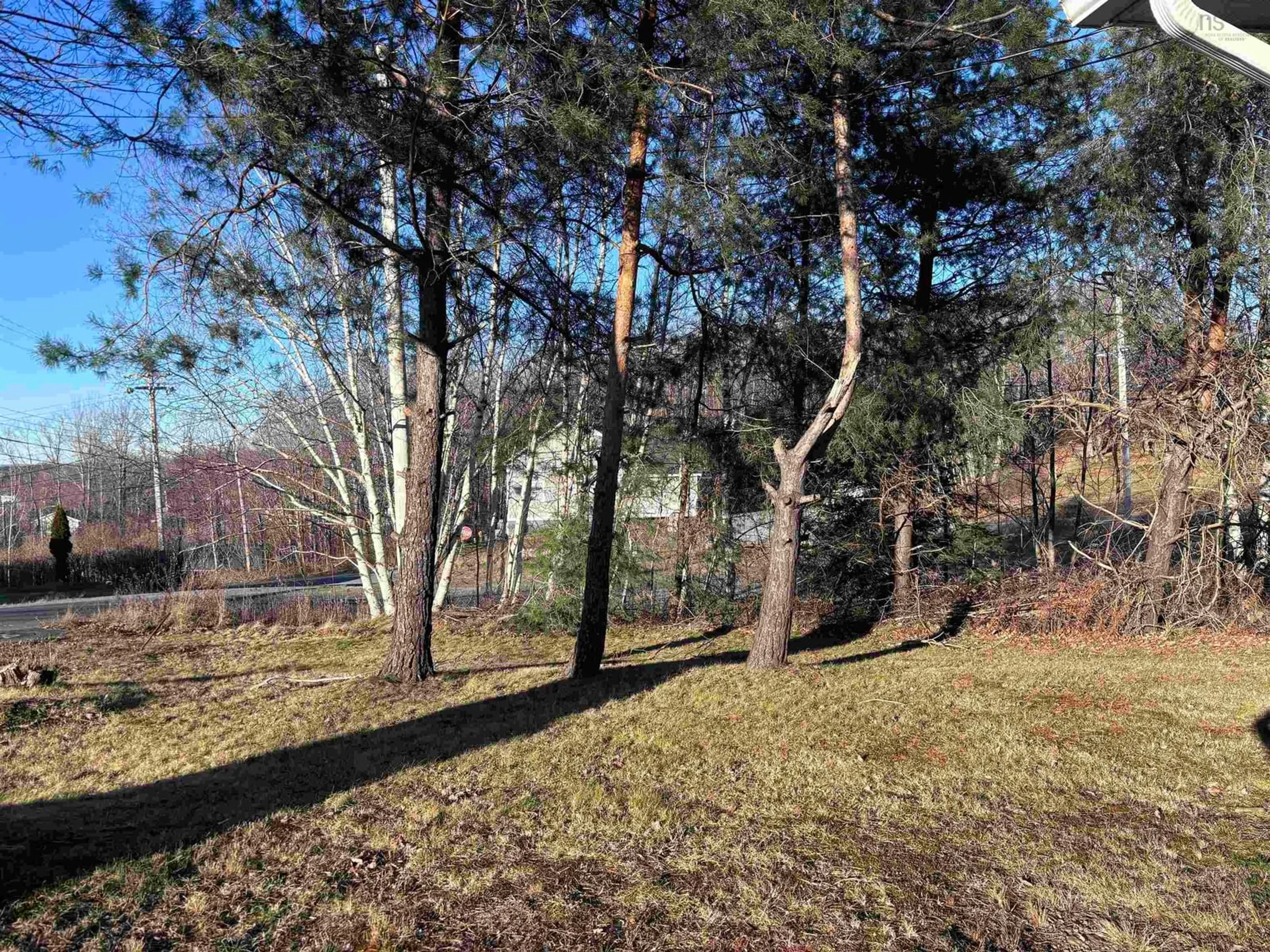 A pic from outside/outdoor area/front of a property/back of a property/a pic from drone, forest/trees view for 102 Hillside Rd, Hillside Nova Scotia B0K 1X0