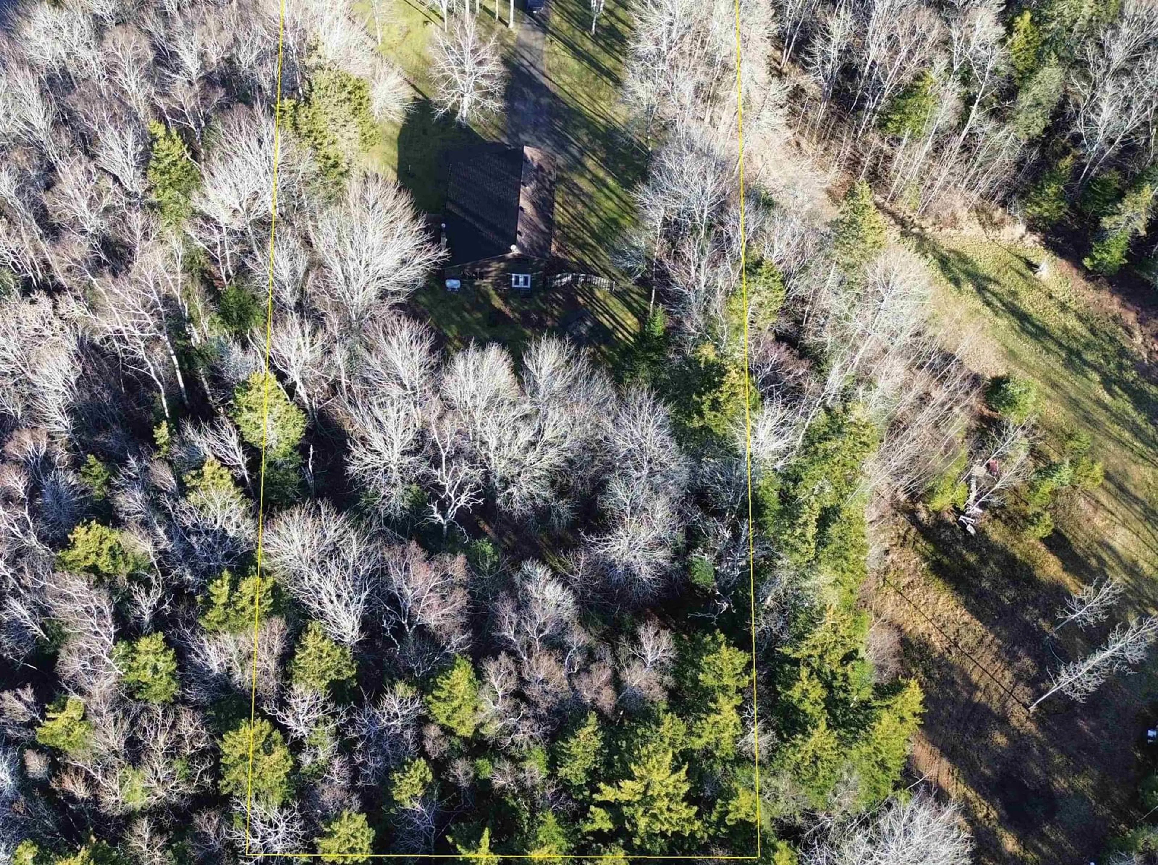 A pic from outside/outdoor area/front of a property/back of a property/a pic from drone, forest/trees view for 272 Fox Ranch Rd, East Amherst Nova Scotia B4H 3Y3