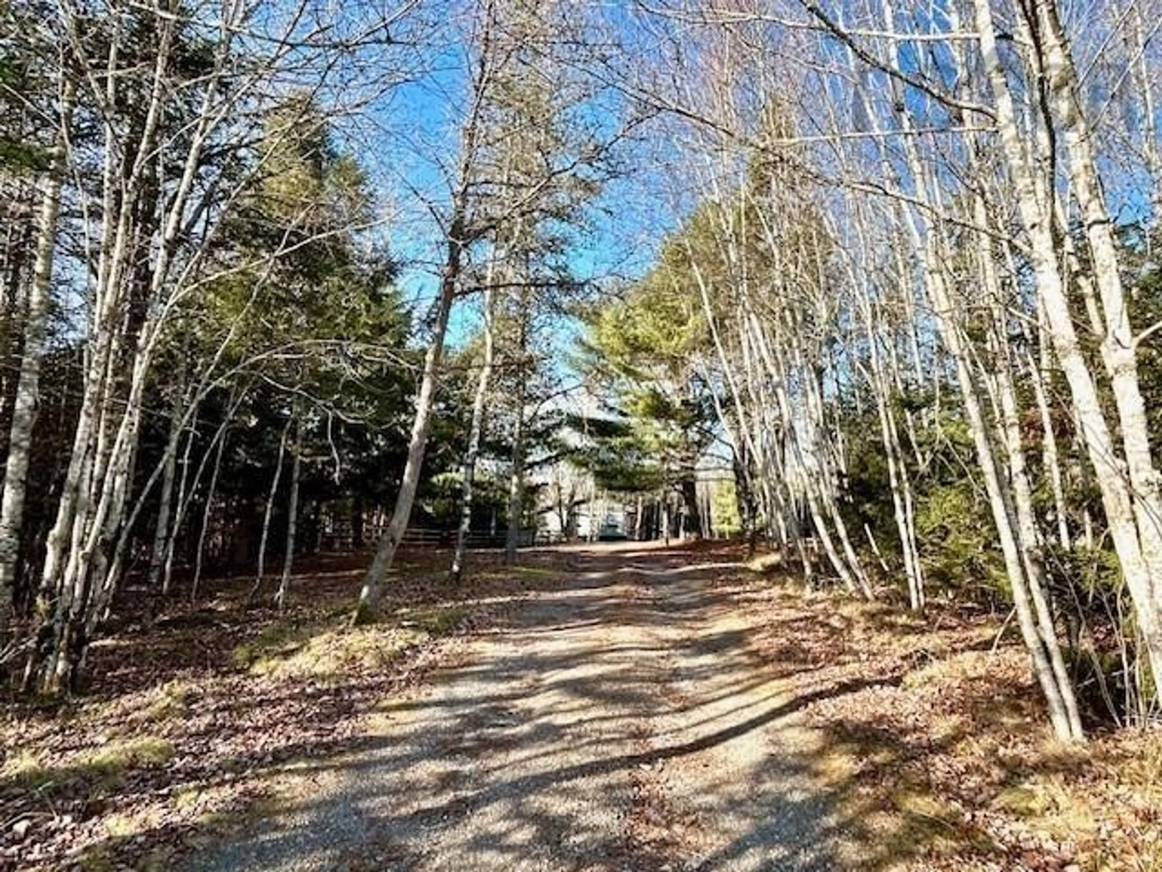 A pic from outside/outdoor area/front of a property/back of a property/a pic from drone, forest/trees view for 107 Ridge Rd, South Branch Nova Scotia B0N 2P0