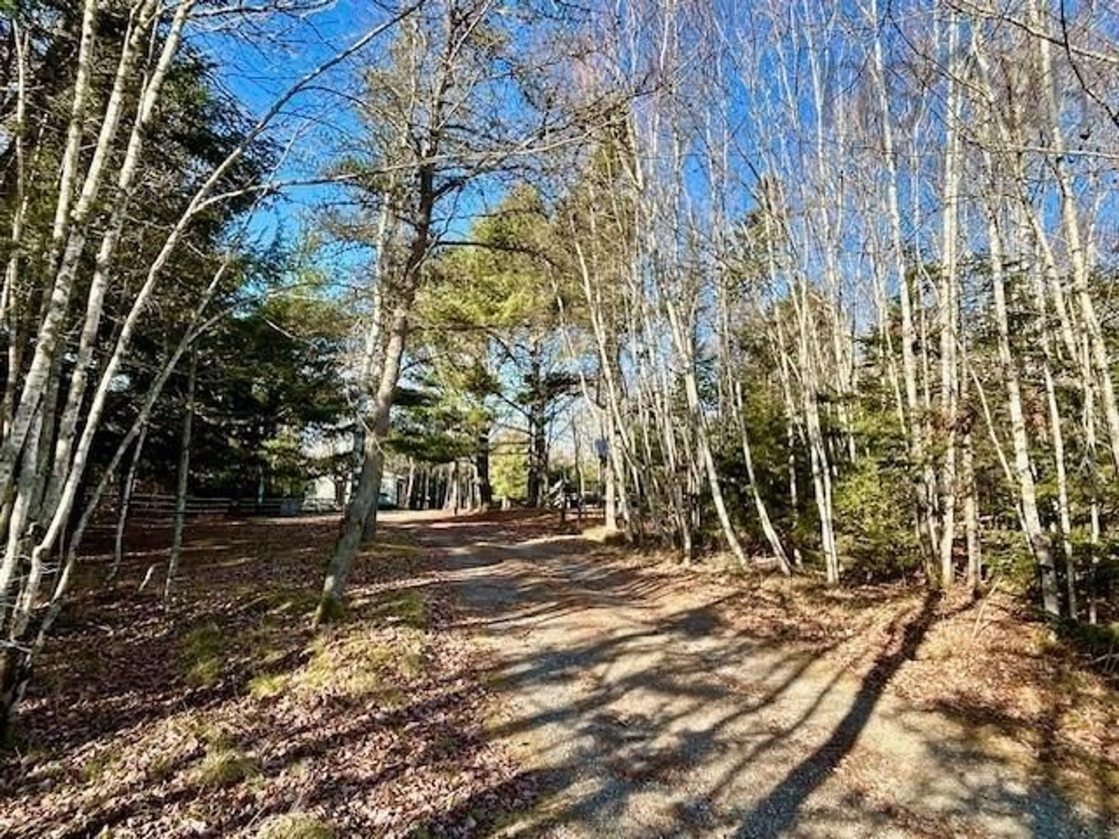 A pic from outside/outdoor area/front of a property/back of a property/a pic from drone, forest/trees view for 107 Ridge Rd, South Branch Nova Scotia B0N 2P0