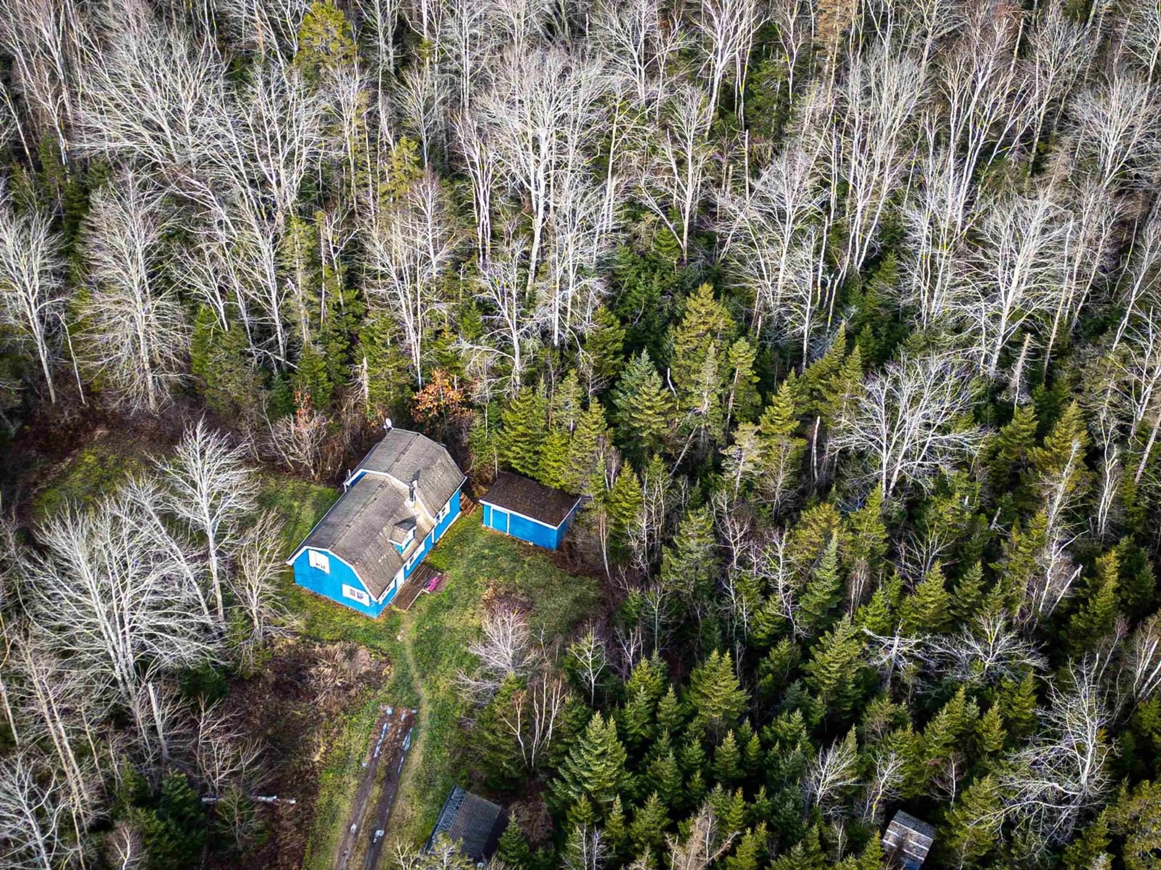 A pic from outside/outdoor area/front of a property/back of a property/a pic from drone, forest/trees view for 45 Blake Rd, Rines Creek Nova Scotia B0N 2H0