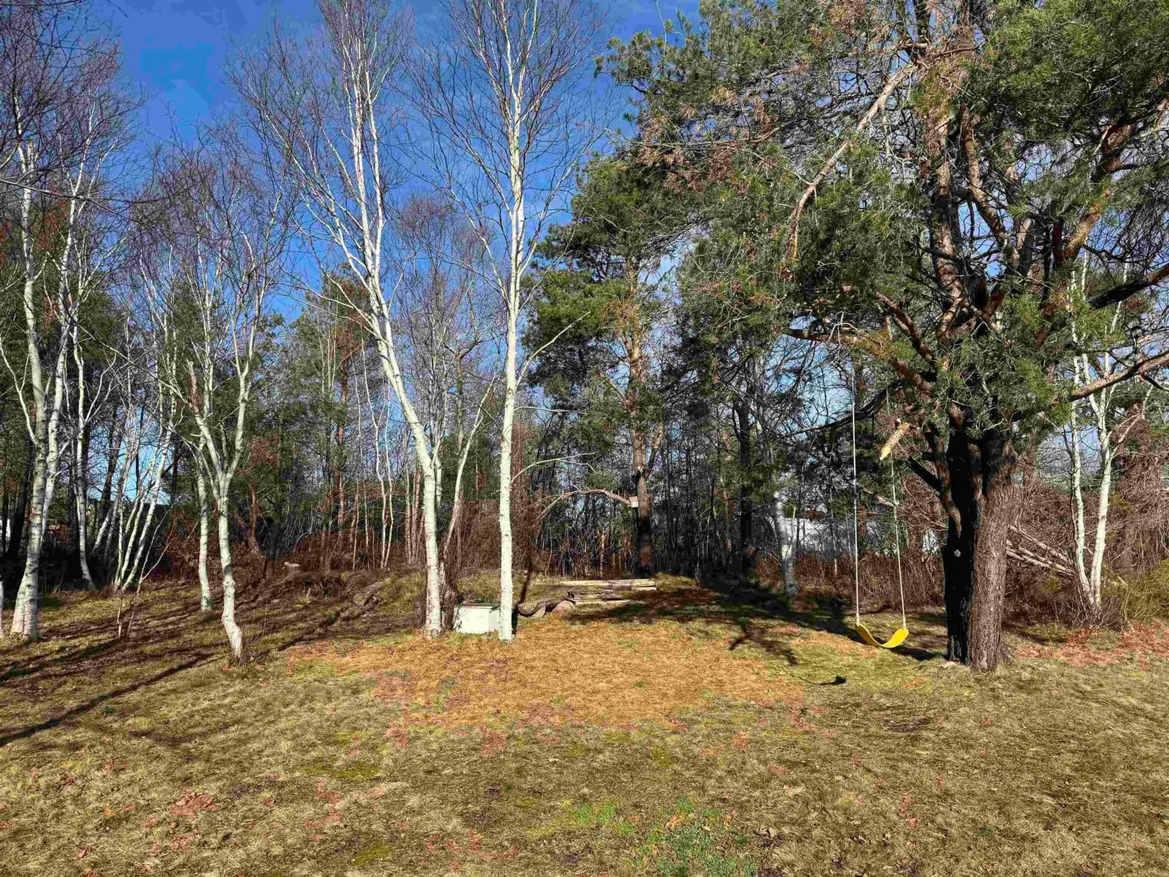 A pic from outside/outdoor area/front of a property/back of a property/a pic from drone, forest/trees view for 2147 Sydney Rd, Reserve Mines Nova Scotia B1E 1K7