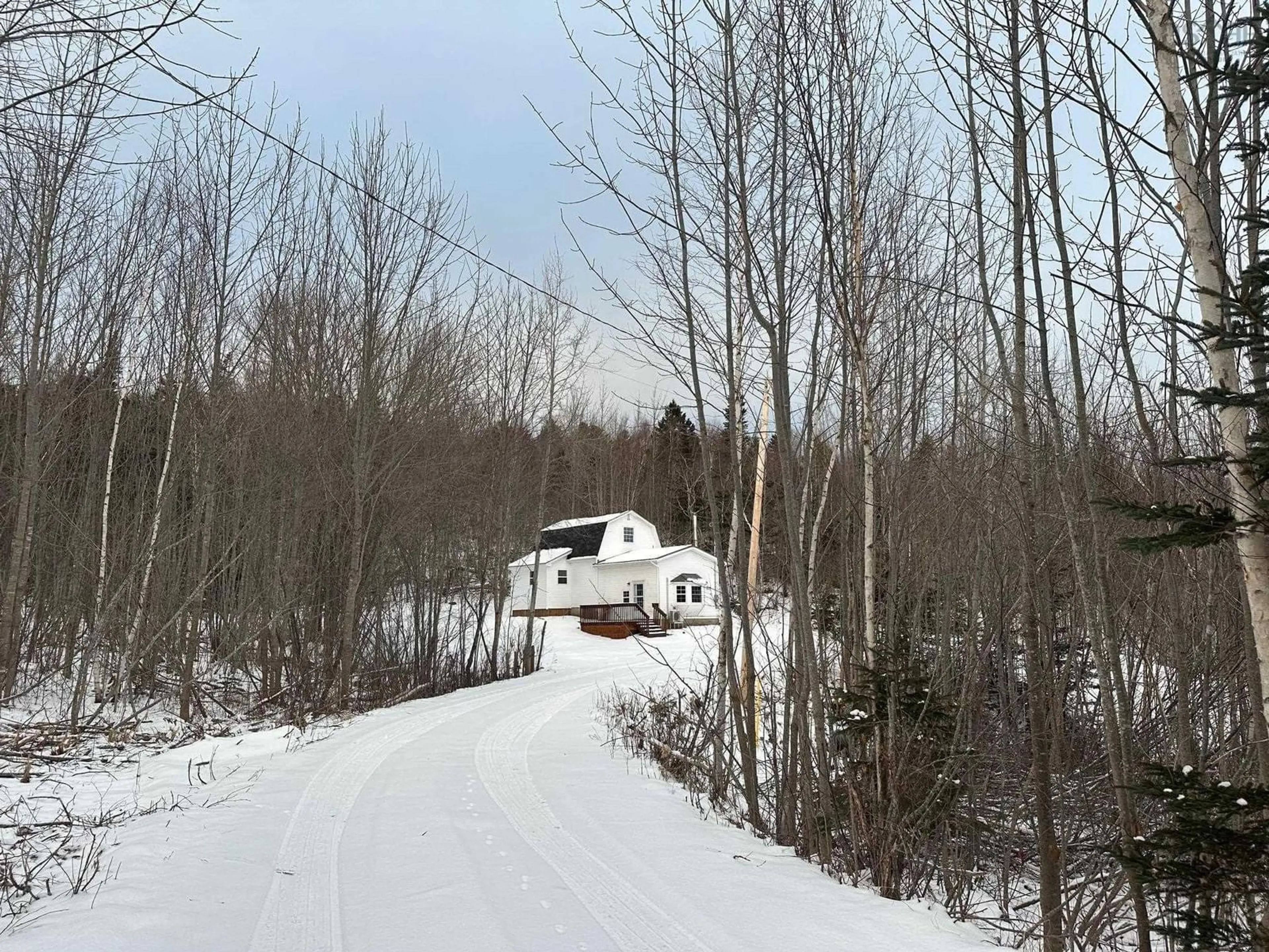 A pic from outside/outdoor area/front of a property/back of a property/a pic from drone, forest/trees view for 796 Stronach Mountain Rd, Melvern Square Nova Scotia B0P 1R0