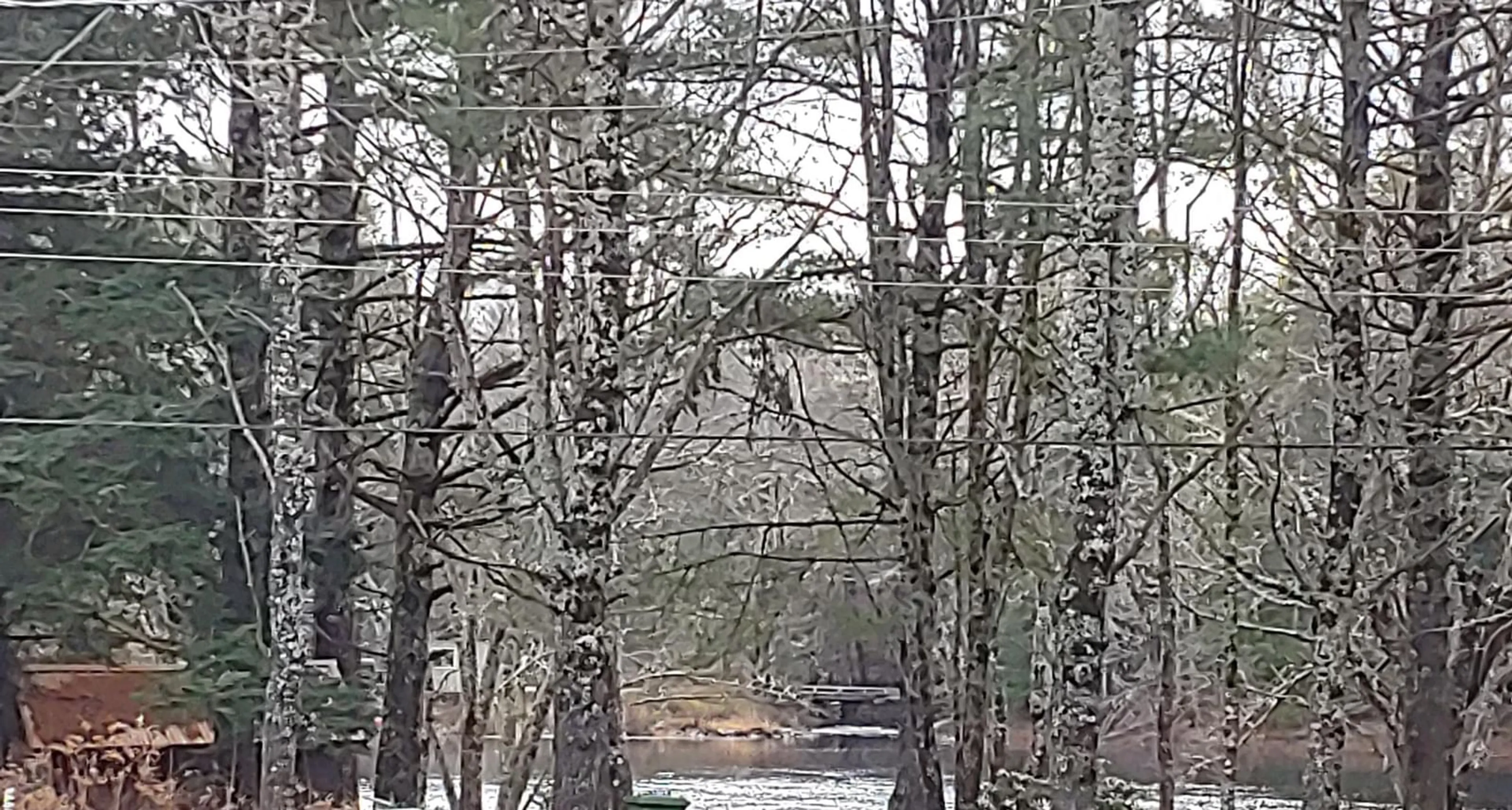 Blurry image for 4064 Medway River Rd, Bangs Falls Nova Scotia B0T 1E0