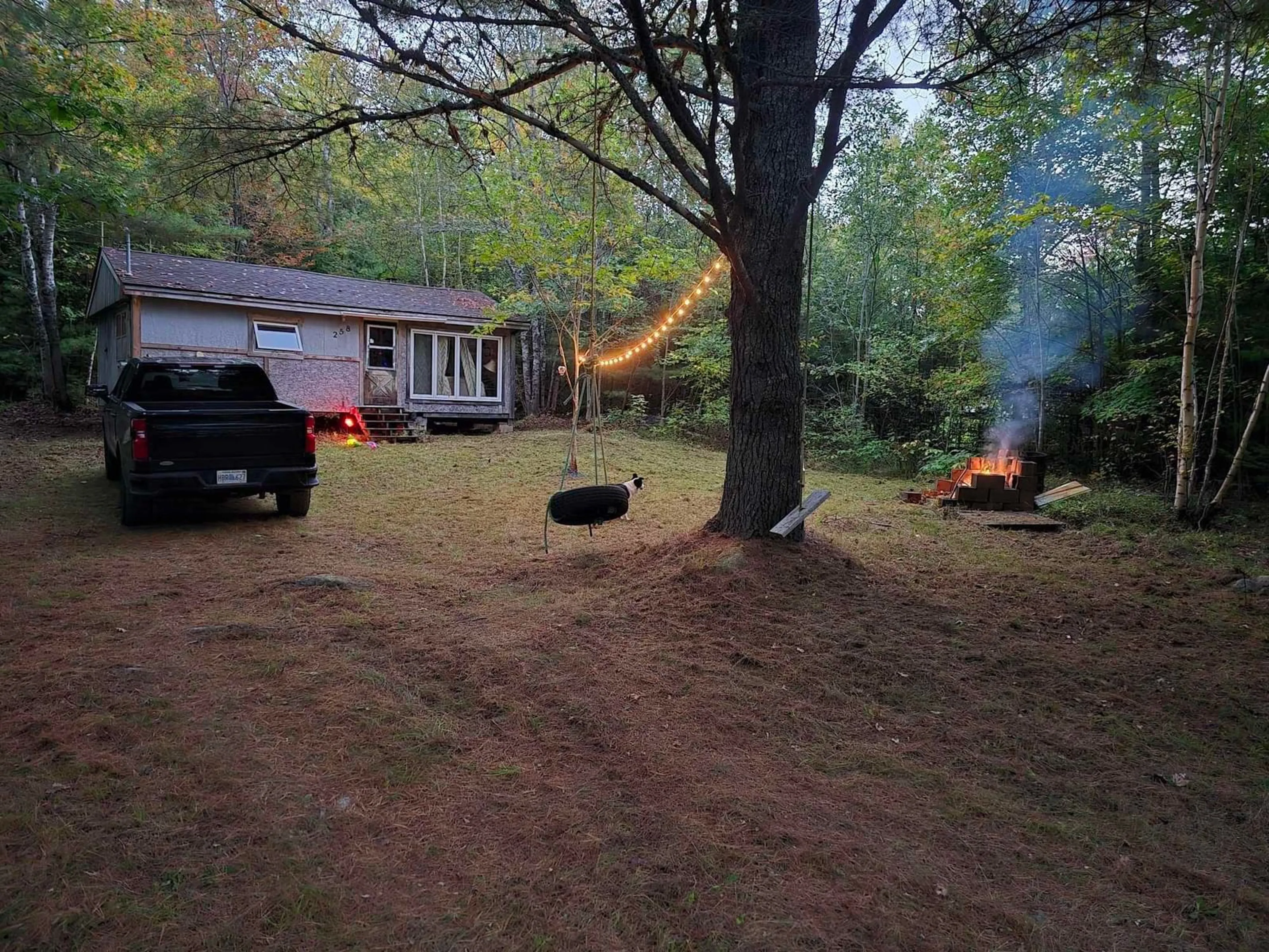 A pic from outside/outdoor area/front of a property/back of a property/a pic from drone, forest/trees view for 258 Brandy Lane, North River Nova Scotia B0R 1E0