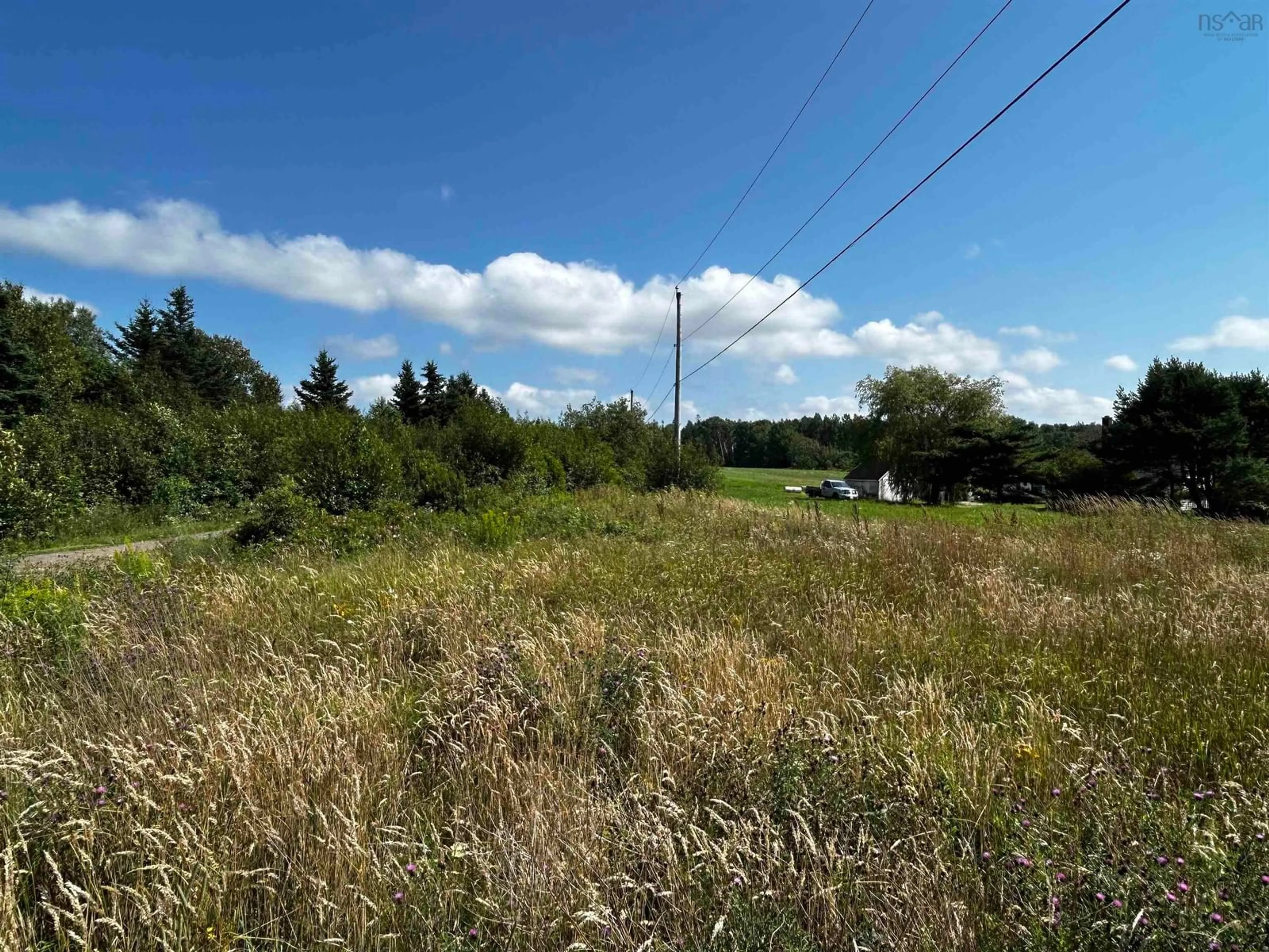 A pic from outside/outdoor area/front of a property/back of a property/a pic from drone, forest/trees view for 8960 Highway 101, Brighton Nova Scotia B0V 1A0