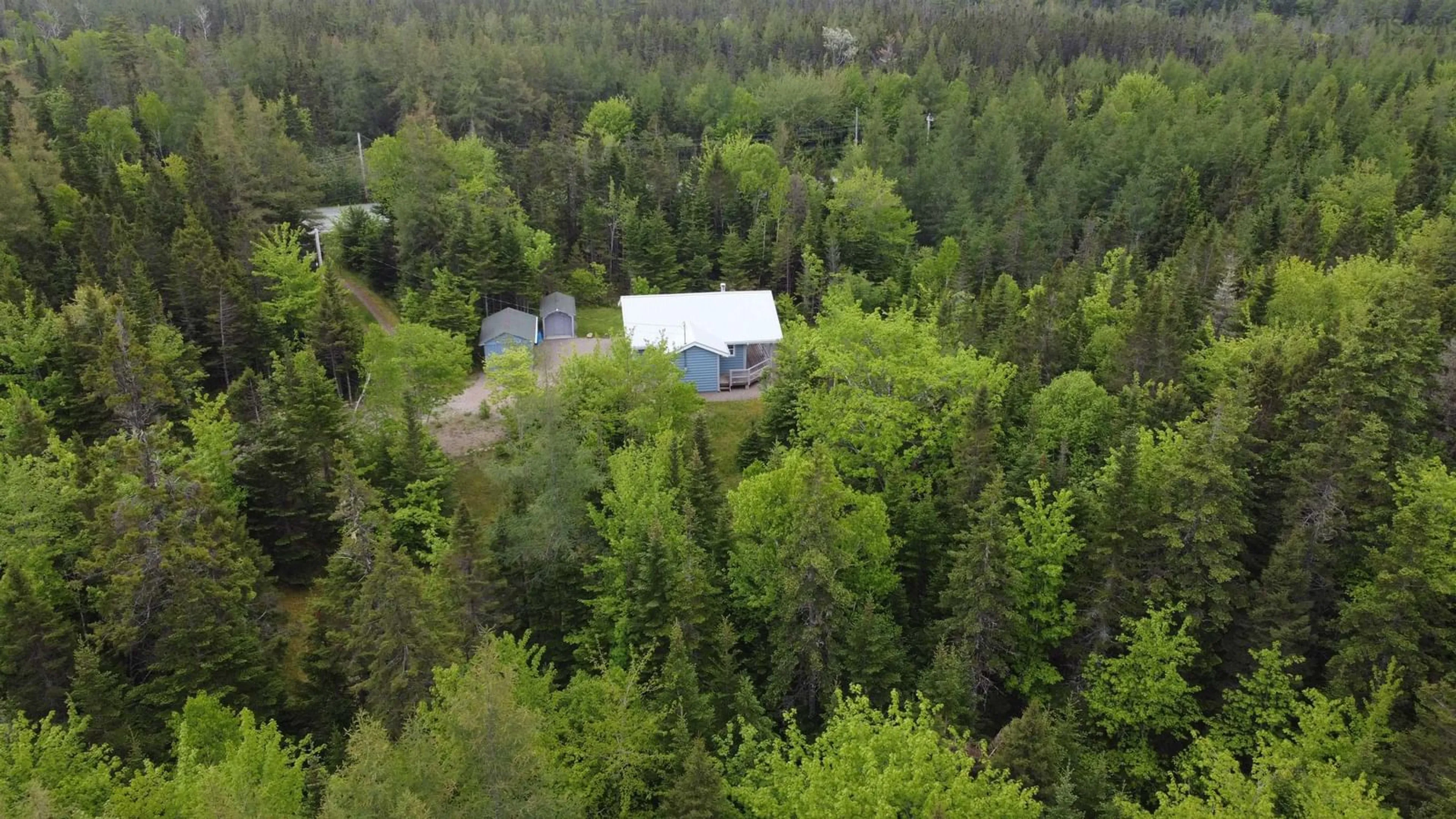 A pic from outside/outdoor area/front of a property/back of a property/a pic from drone, forest/trees view for 109 Cenotaph Rd, Glenora Nova Scotia B0E 3L0