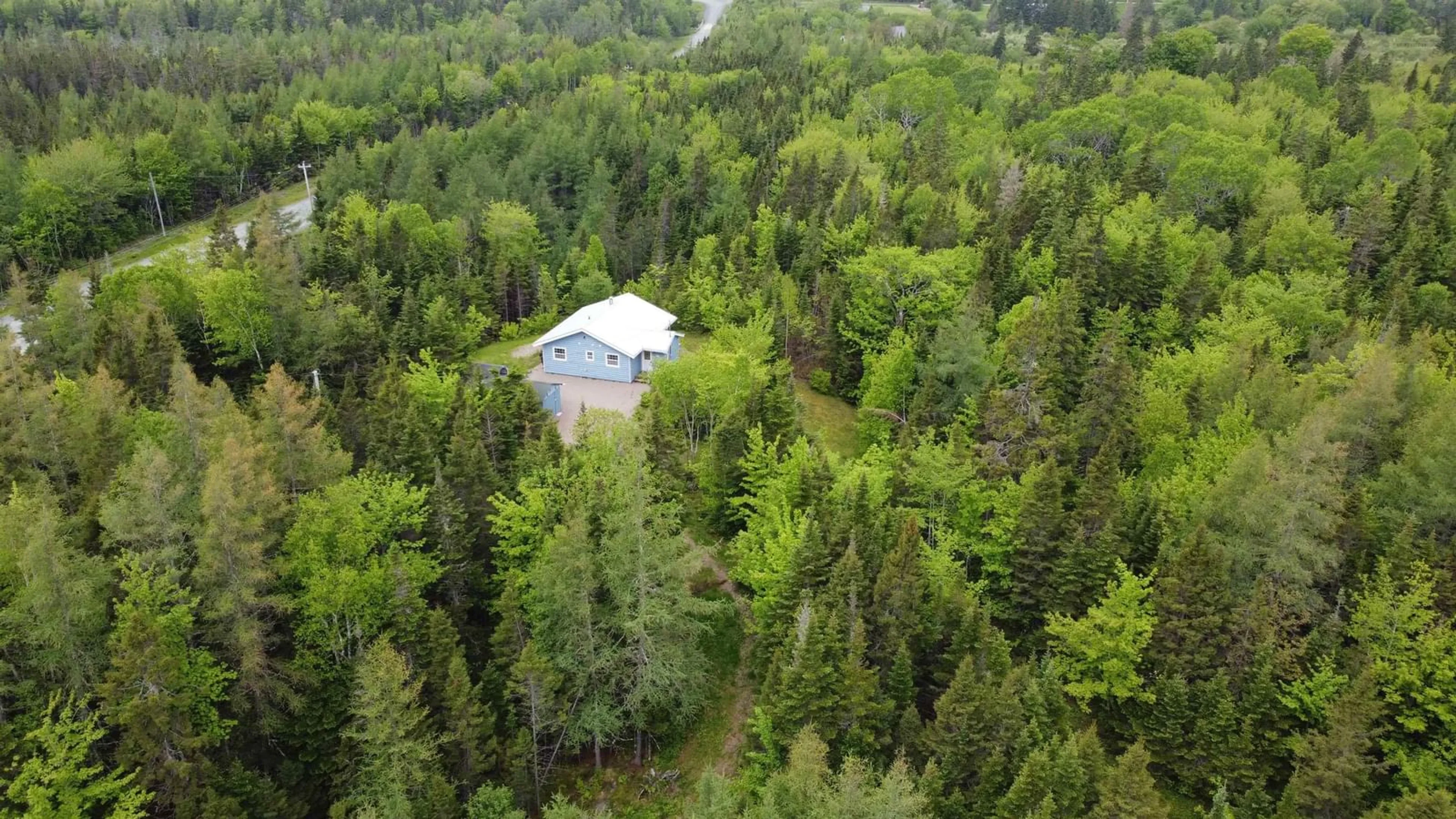 A pic from outside/outdoor area/front of a property/back of a property/a pic from drone, forest/trees view for 109 Cenotaph Rd, Glenora Nova Scotia B0E 3L0