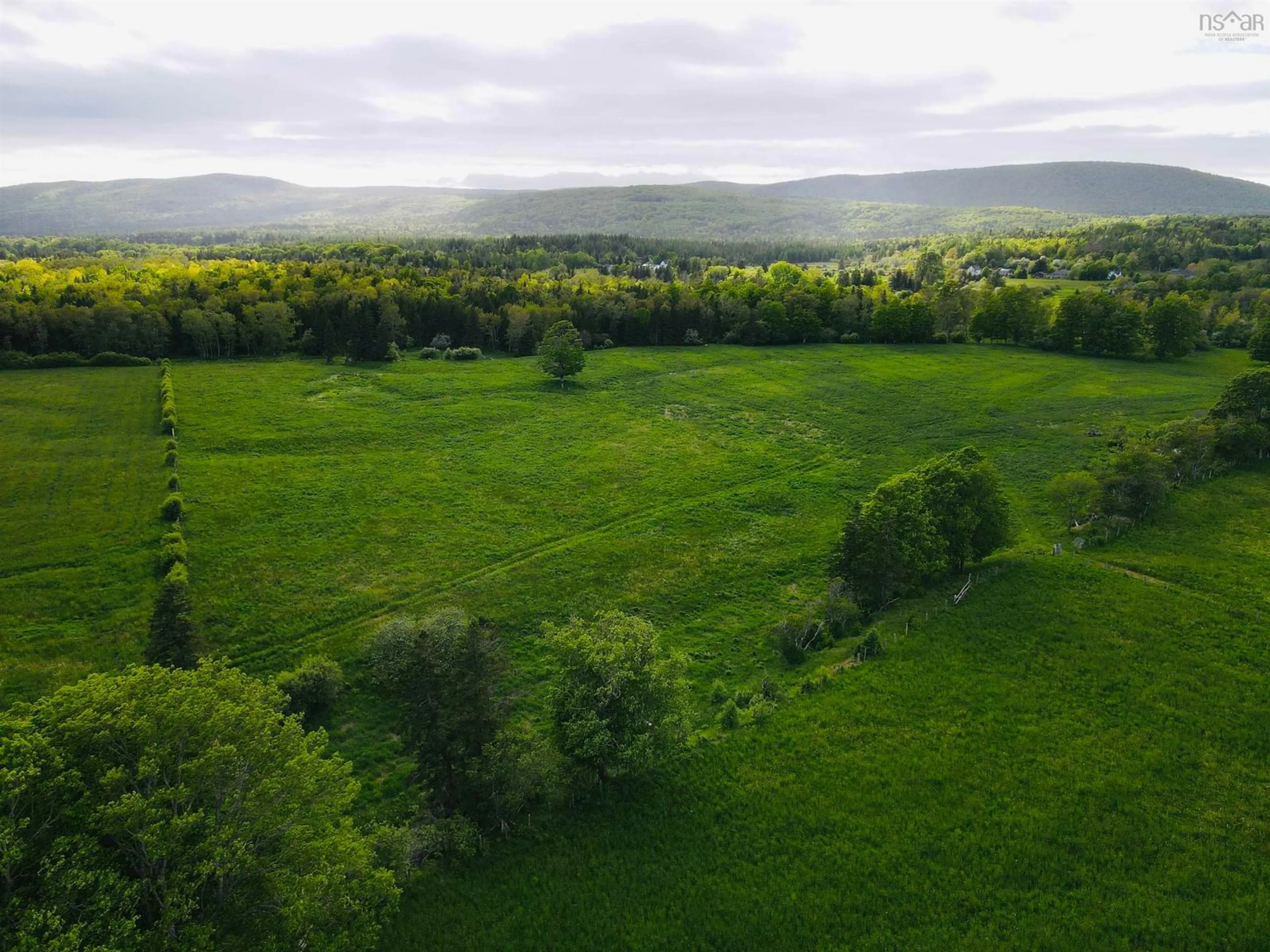 A pic from outside/outdoor area/front of a property/back of a property/a pic from drone, forest/trees view for 6 5314 Road, Margaree Valley Nova Scotia B0E 2C0