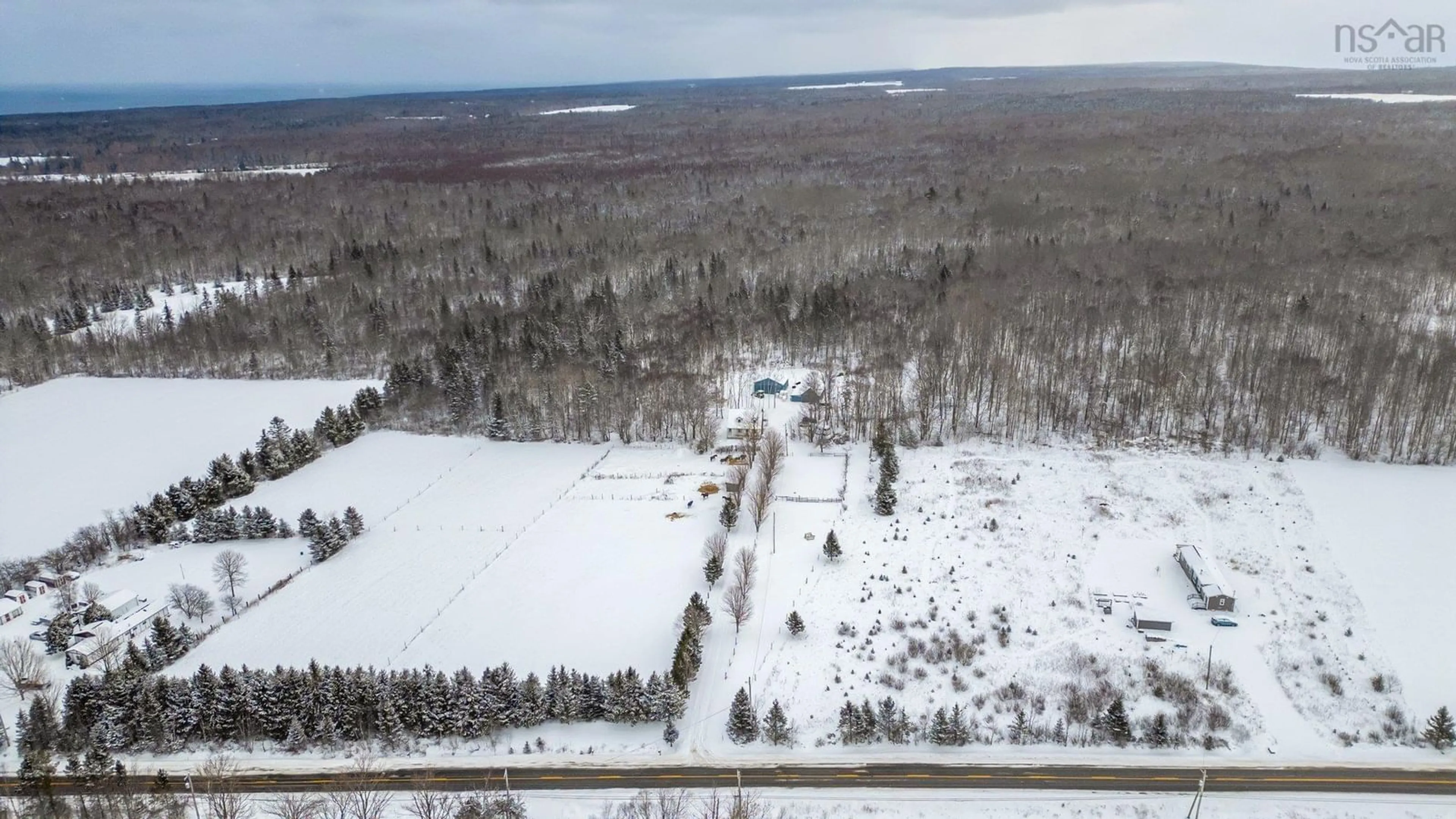 A pic from outside/outdoor area/front of a property/back of a property/a pic from drone, forest/trees view for 1714 Highway 360, Garland Nova Scotia B0P 1E0