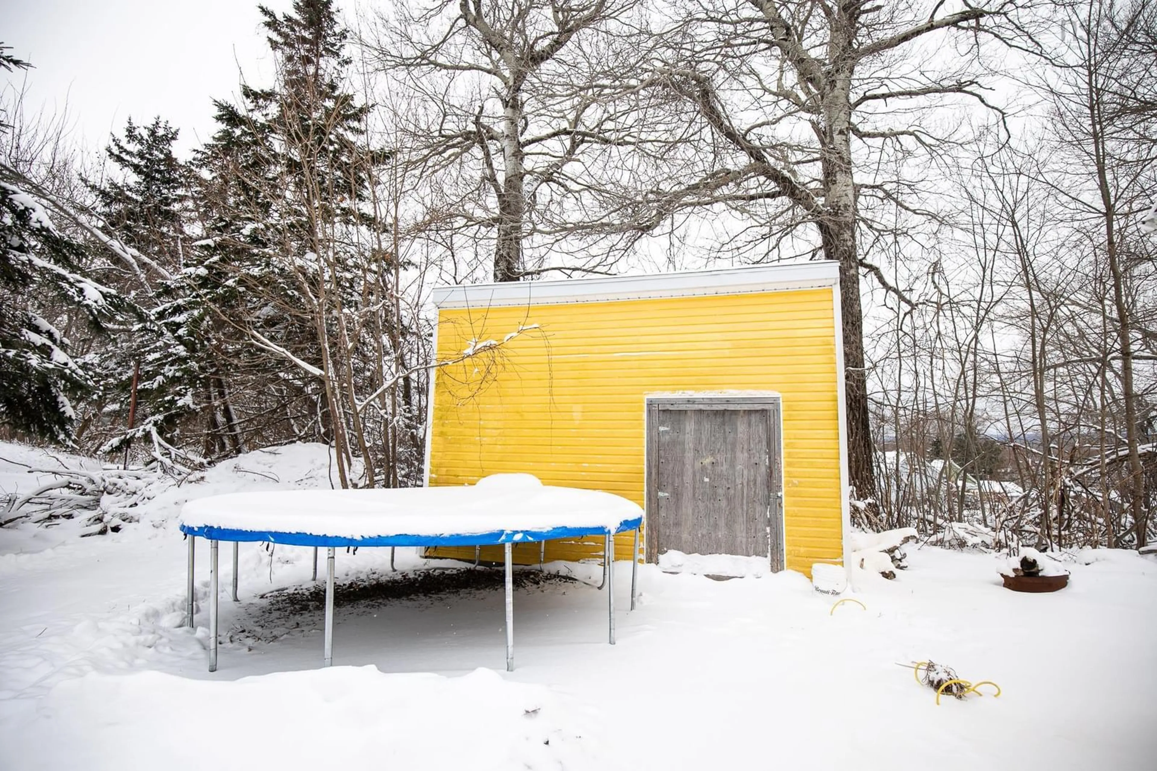 Shed for 25 Pioneer St, Springhill Nova Scotia B0M 1X0