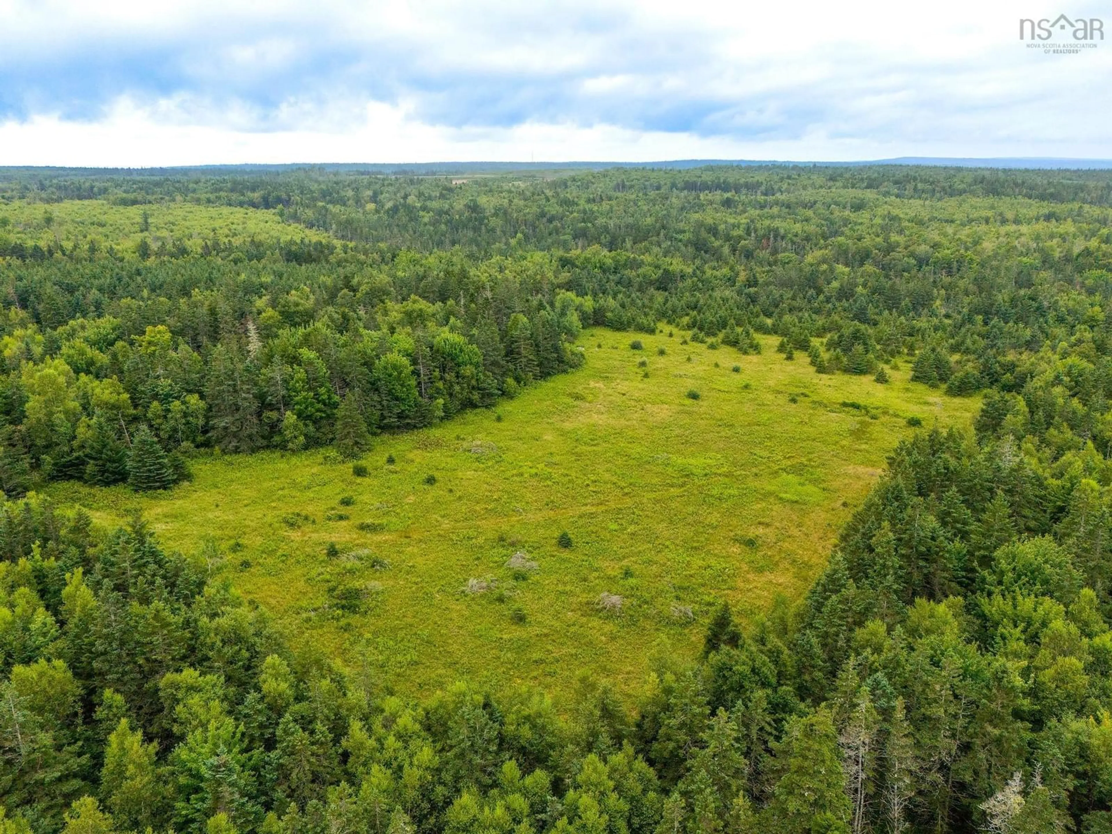 A pic from outside/outdoor area/front of a property/back of a property/a pic from drone, forest/trees view for 239 Brinton Rd, Port Lorne Nova Scotia B0S 1L0