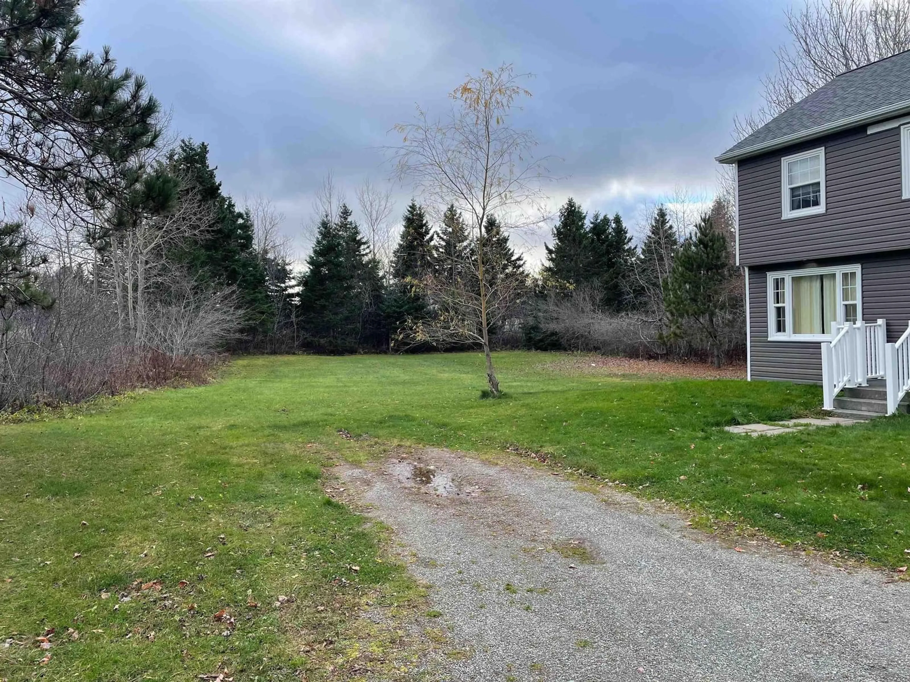 A pic from outside/outdoor area/front of a property/back of a property/a pic from drone, forest/trees view for 2610 Kings Rd, Sydney Forks Nova Scotia B1L 1A1