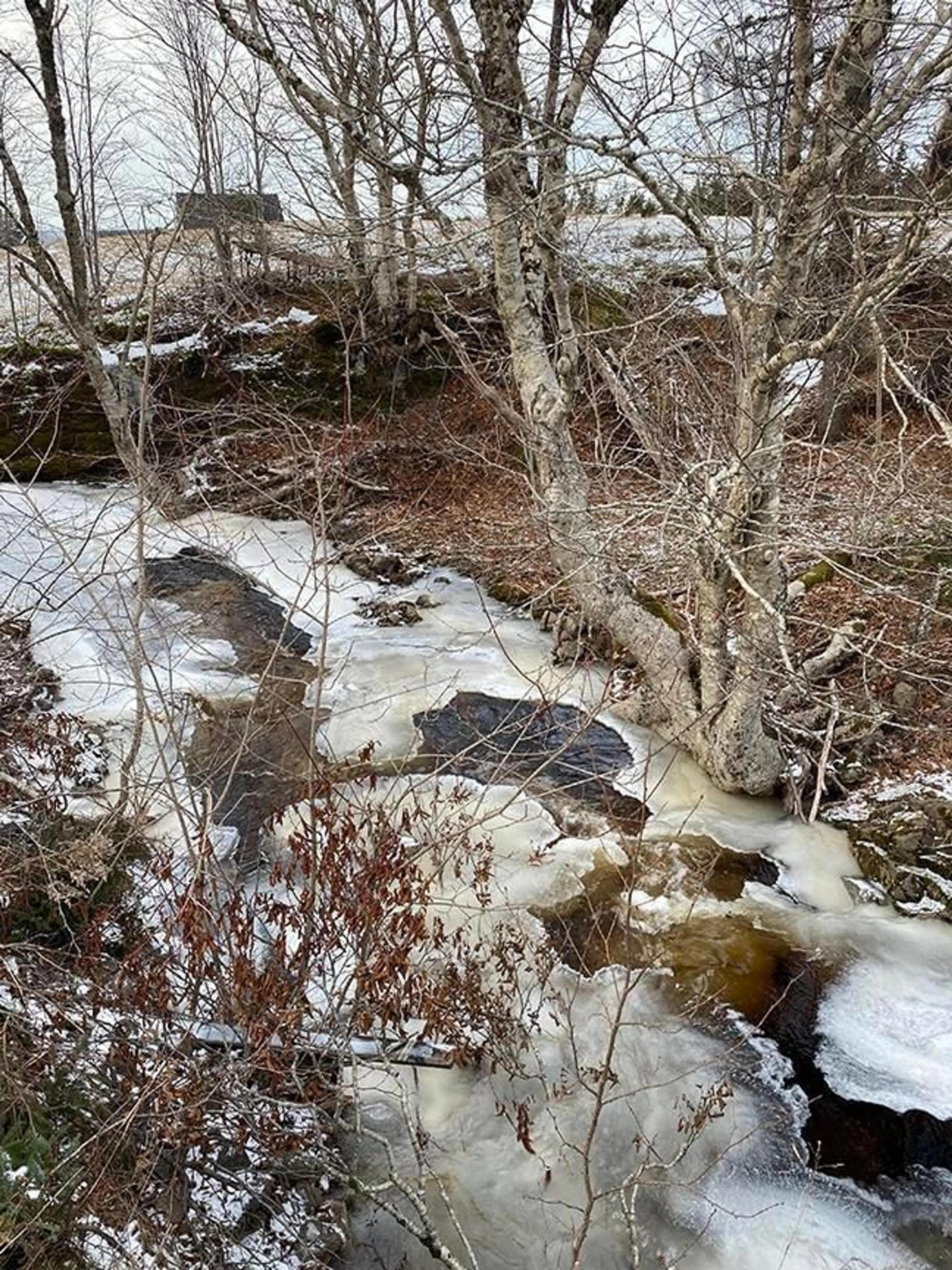 A pic from outside/outdoor area/front of a property/back of a property/a pic from drone, unknown for 2289 Loch Lomond Rd, Loch Lomond Nova Scotia B2E 1B9