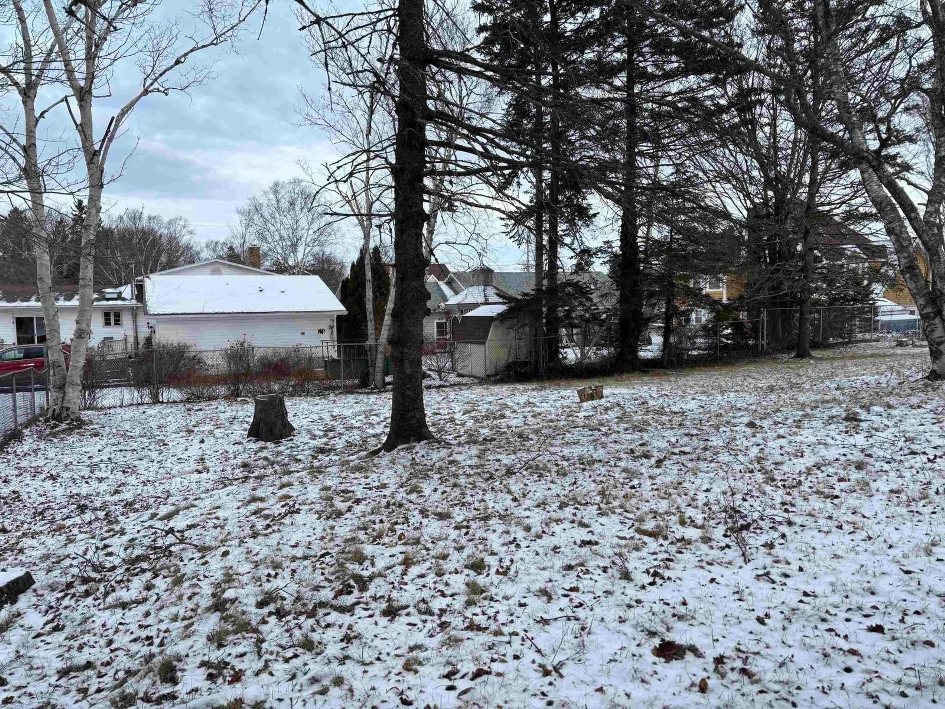 A pic from outside/outdoor area/front of a property/back of a property/a pic from drone, forest/trees view for 177 Brook Street, North Sydney Nova Scotia B2A 2K7