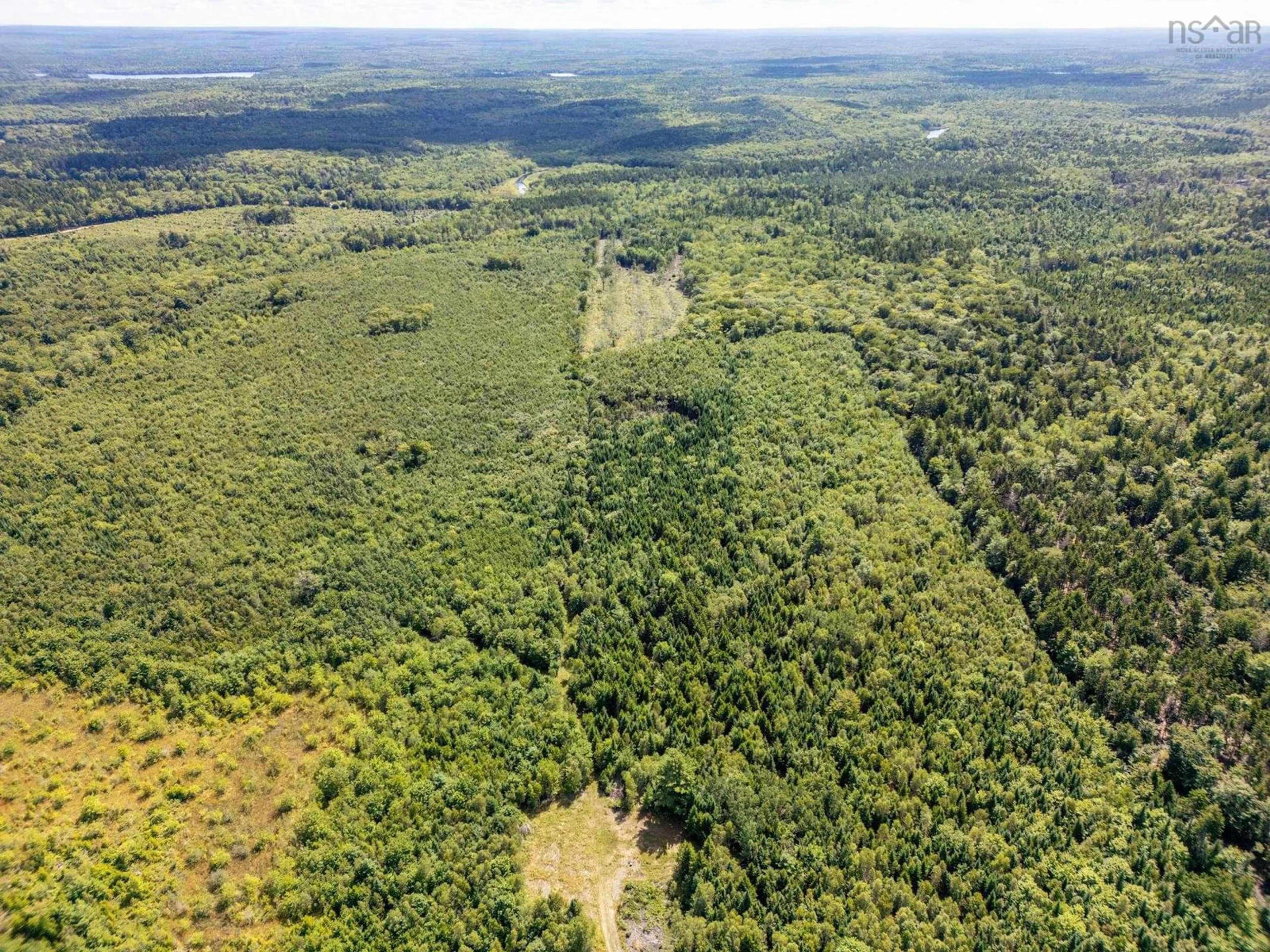 A pic from outside/outdoor area/front of a property/back of a property/a pic from drone, forest/trees view for 2780 Highway 340, Corberrie Nova Scotia B0W 3T0