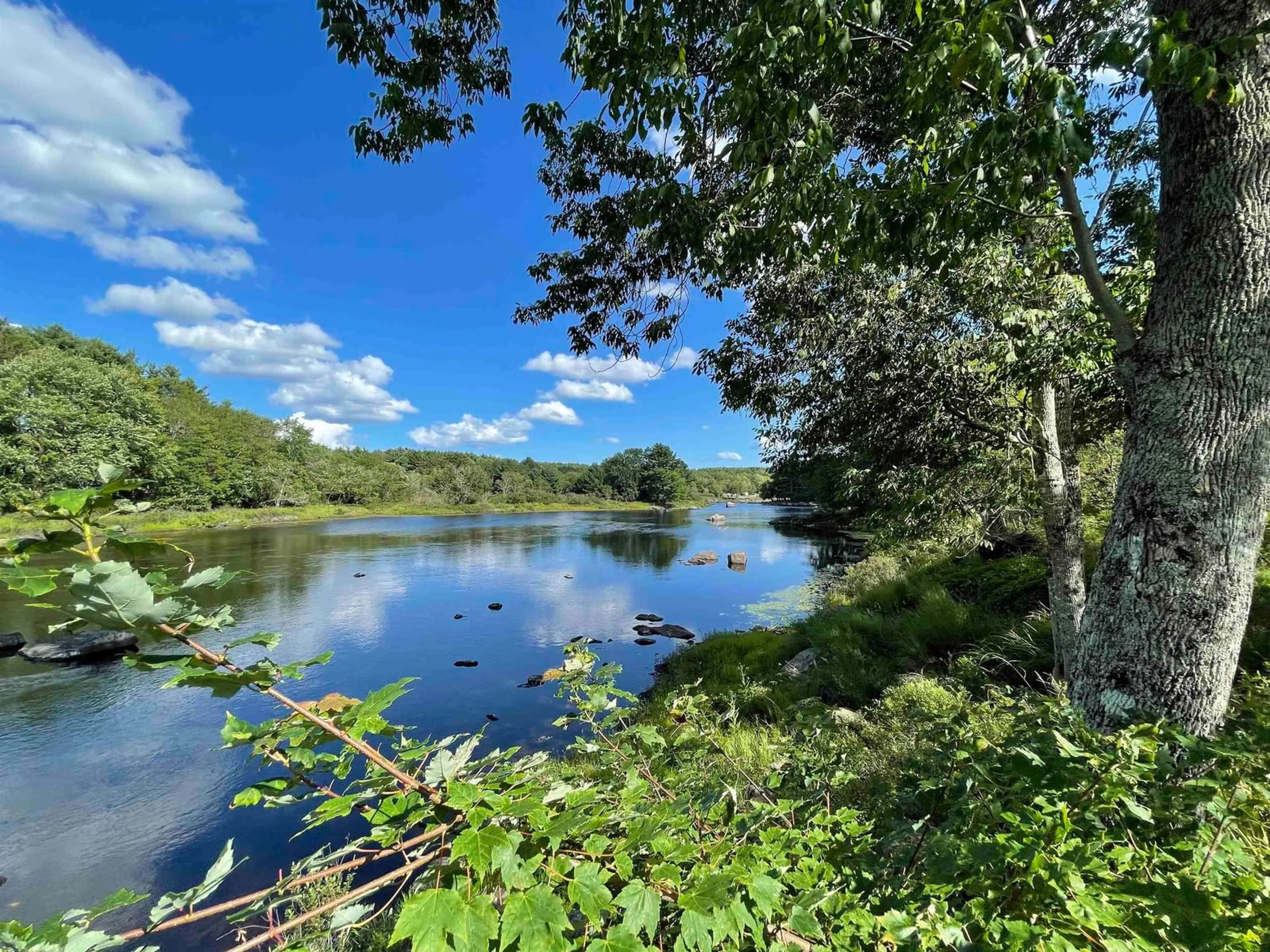 A pic from outside/outdoor area/front of a property/back of a property/a pic from drone, water/lake/river/ocean view for 762 Medway River Rd, Charleston Nova Scotia B0J 2H0