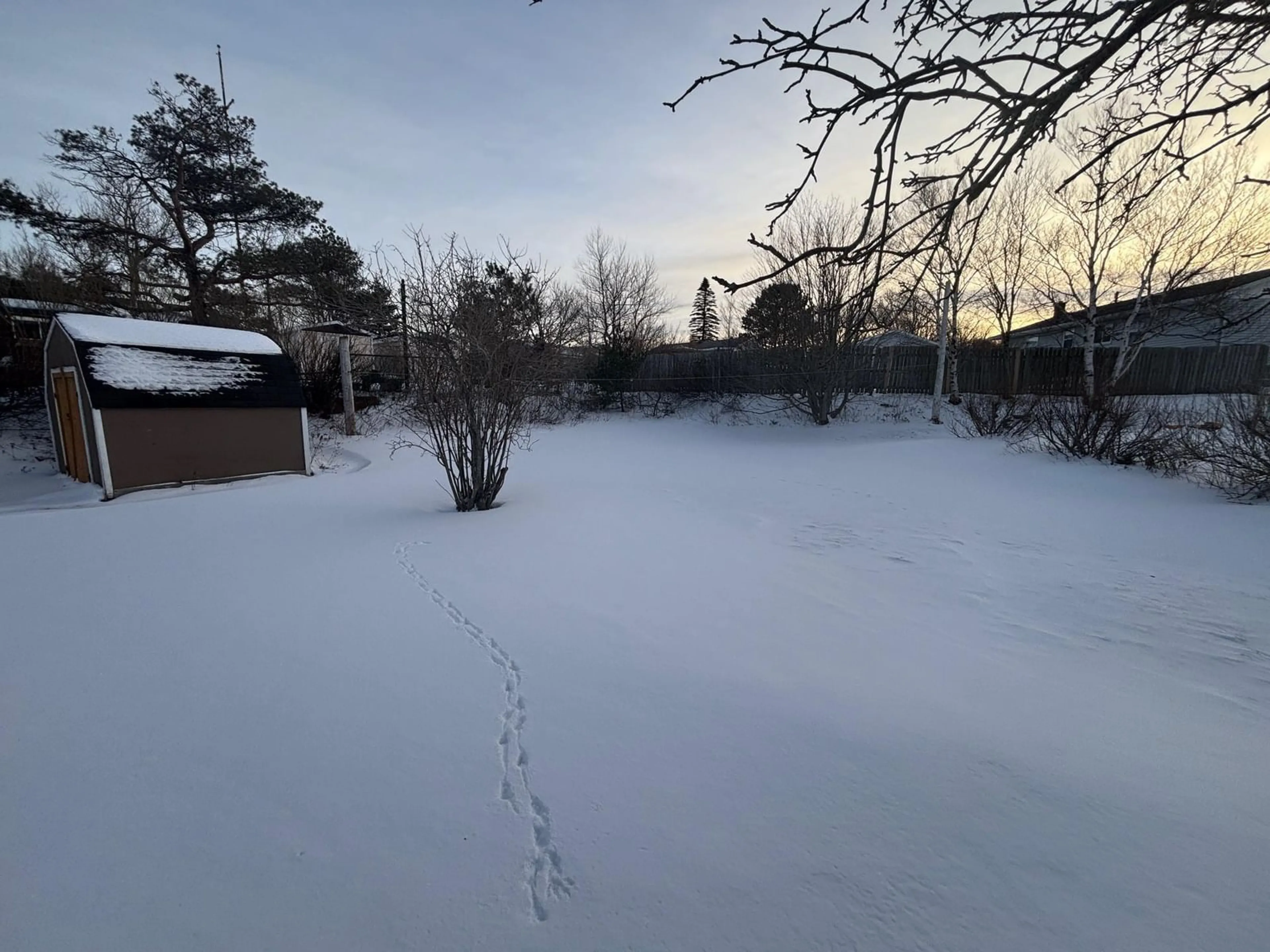 A pic from outside/outdoor area/front of a property/back of a property/a pic from drone, street for 3196 Sunset Ave, New Waterford Nova Scotia B1H 1K9