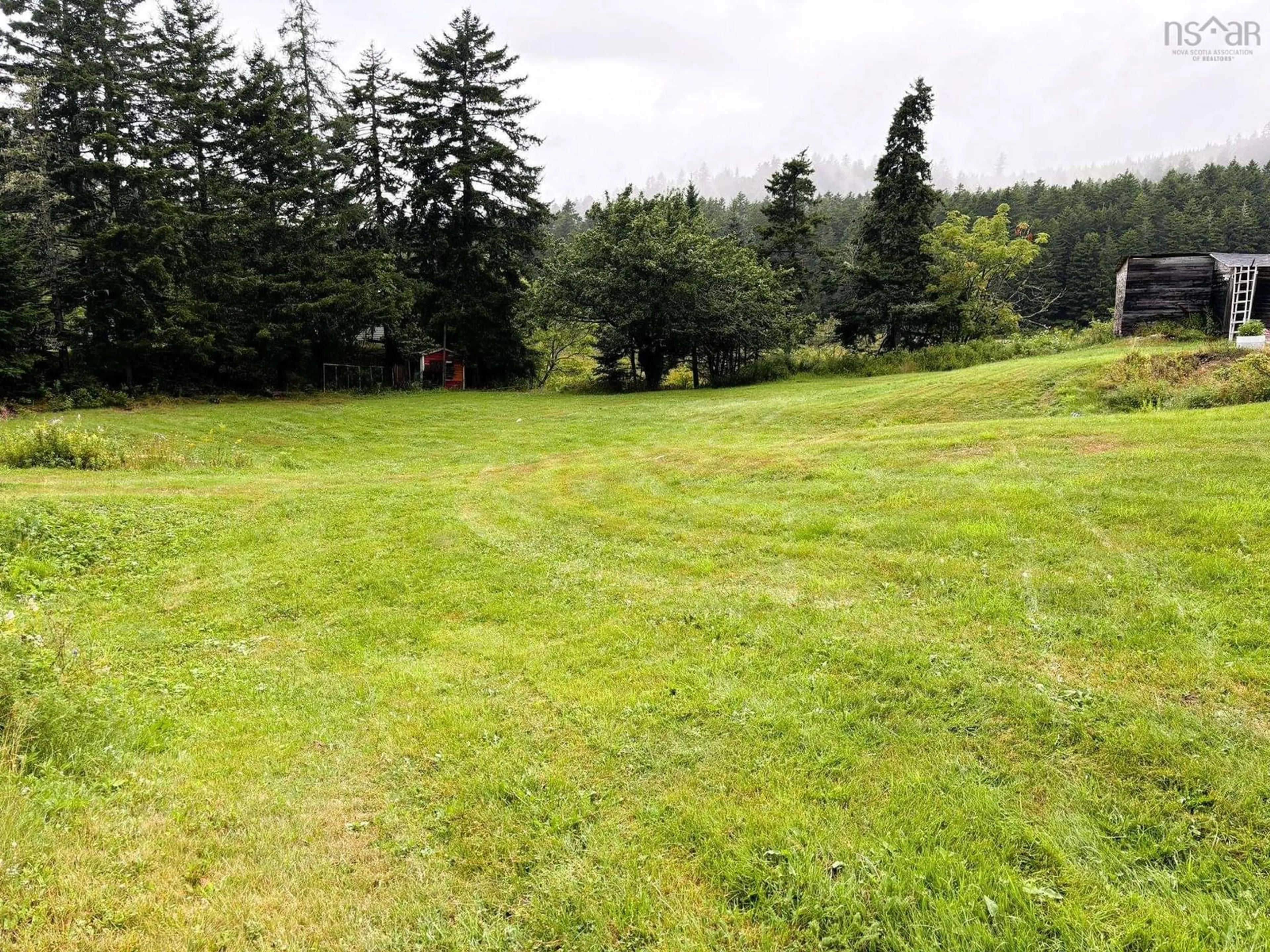 A pic from outside/outdoor area/front of a property/back of a property/a pic from drone, forest/trees view for 8257 Hwy#209 Hwy, Wards Brook Nova Scotia B0M 1S0