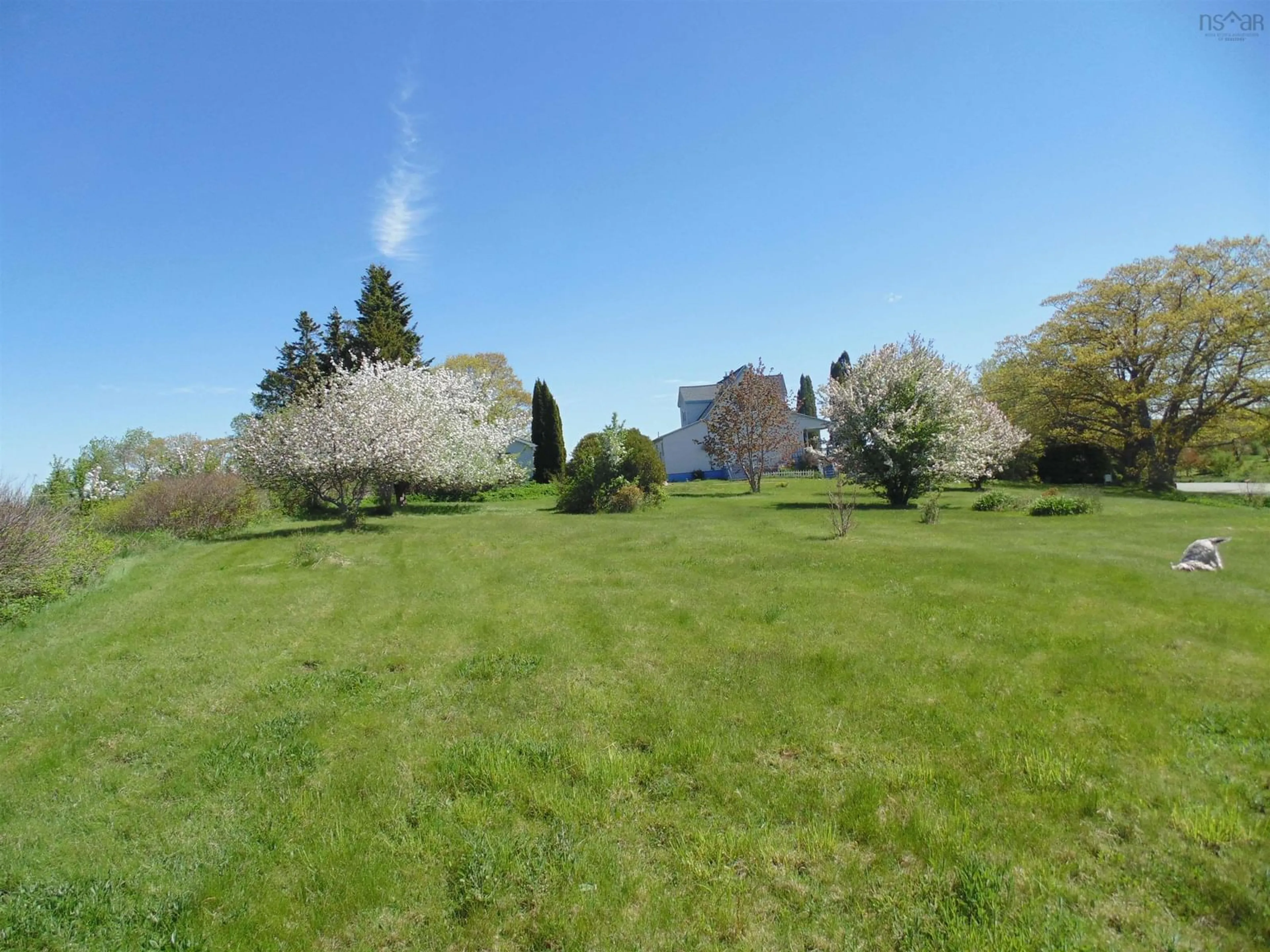 A pic from outside/outdoor area/front of a property/back of a property/a pic from drone, forest/trees view for 137 Cedar Rd, Maitland Nova Scotia B0N 1T0