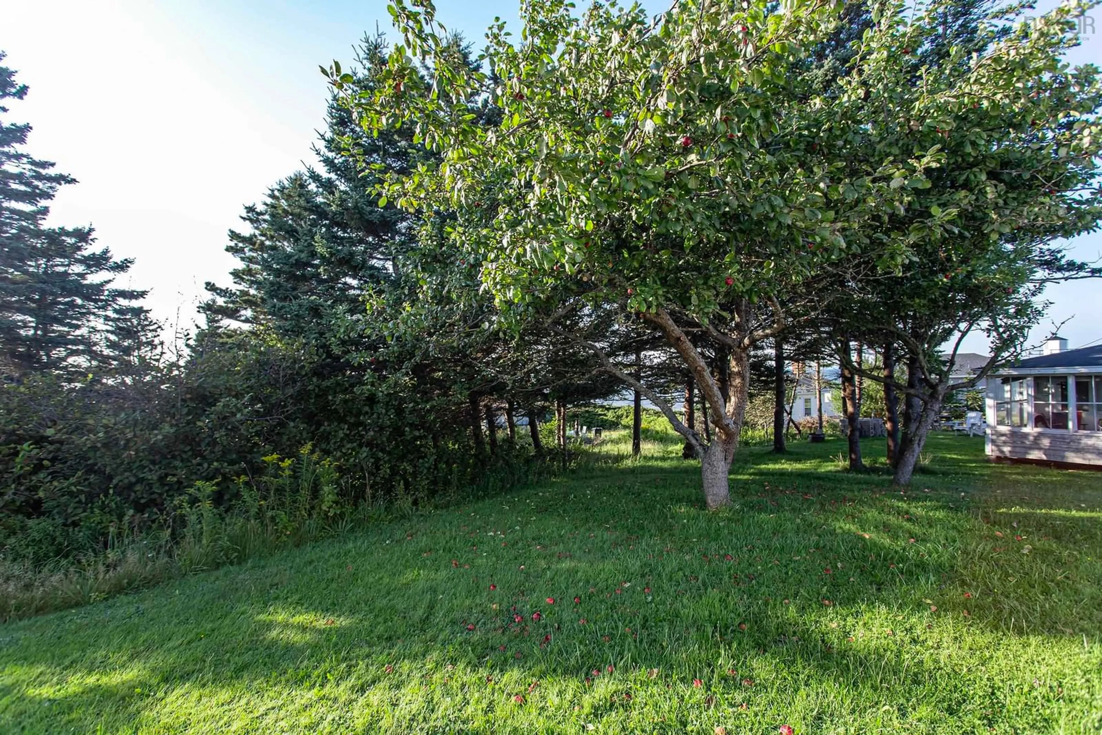 Patio, forest/trees view for 17 Gordon Rd, Margaretsville Nova Scotia B0S 1N0