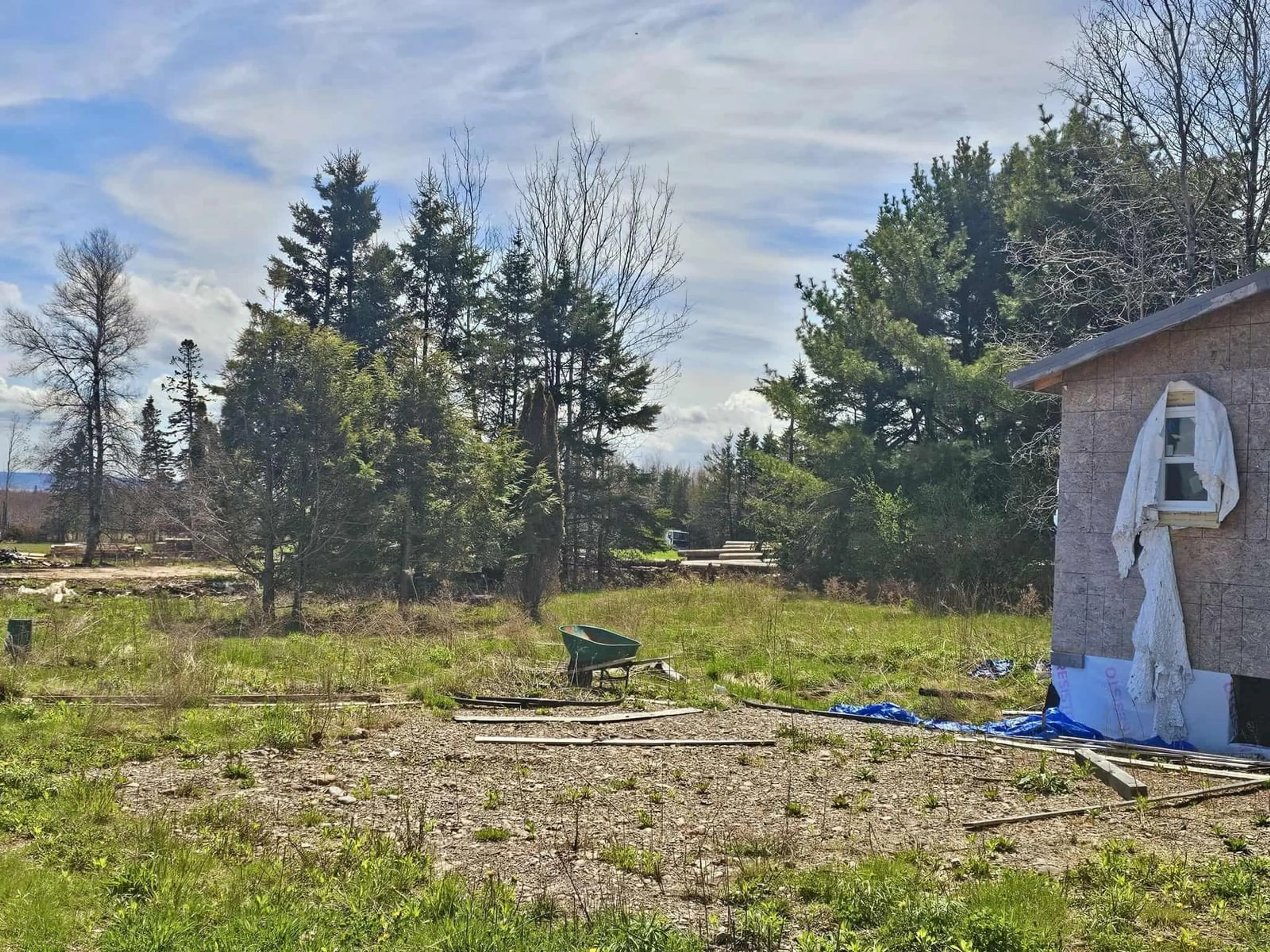 A pic from outside/outdoor area/front of a property/back of a property/a pic from drone, forest/trees view for 9260 Highway 2, Great Village Nova Scotia B0M 1L0