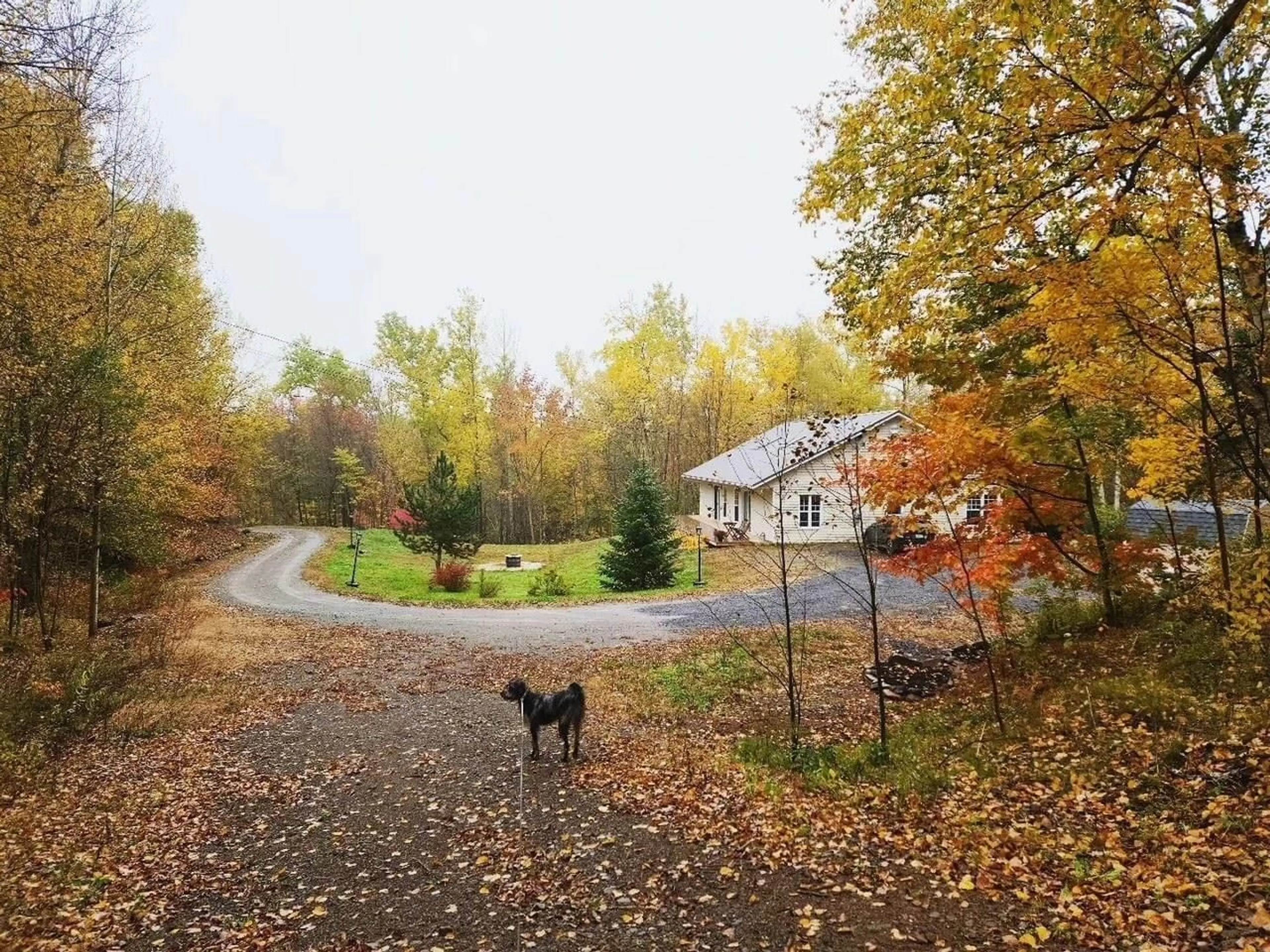 A pic from outside/outdoor area/front of a property/back of a property/a pic from drone, forest/trees view for 2865 Highway 358, Norths Corner Nova Scotia B0P 1H0