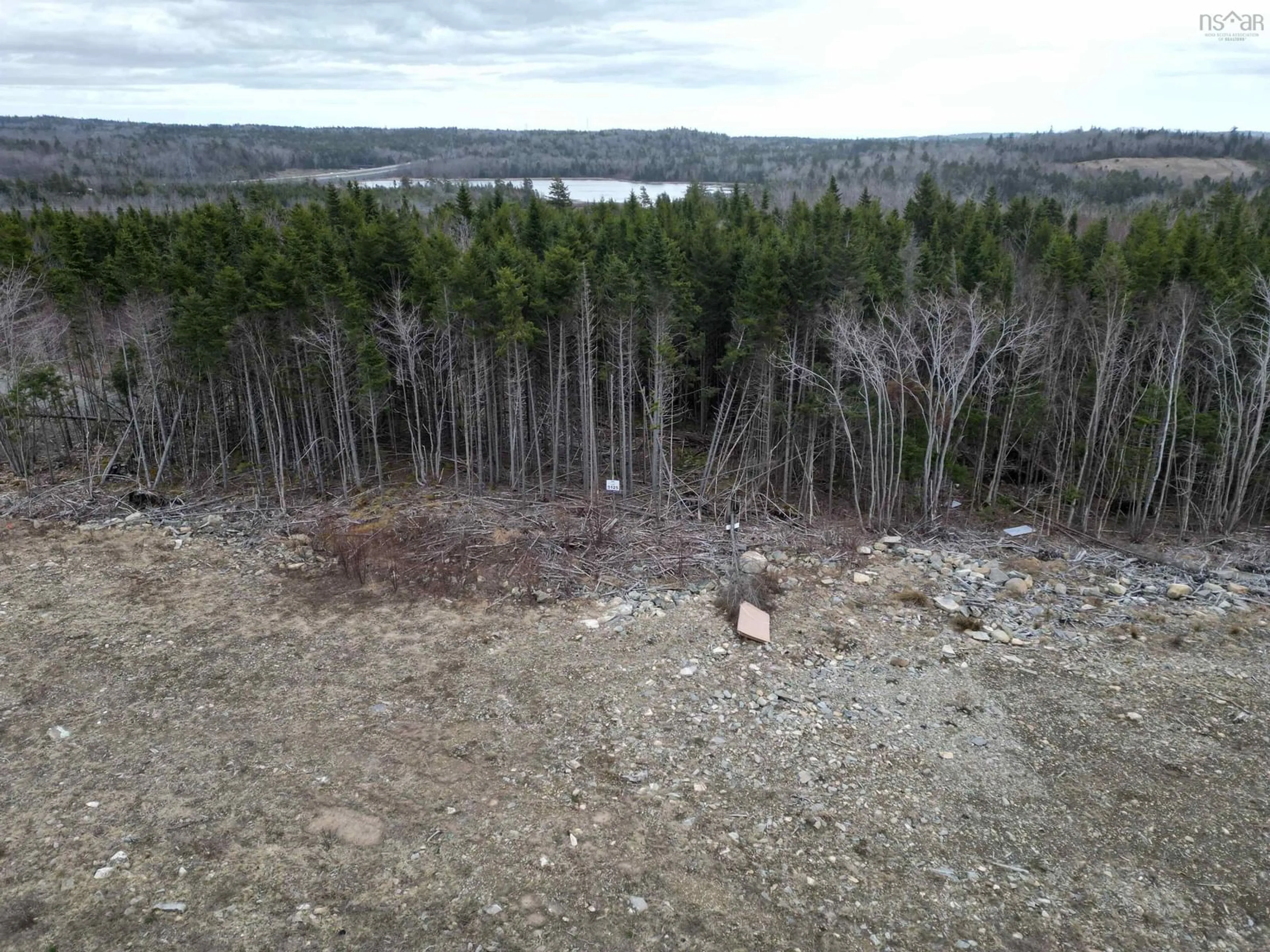 A pic from outside/outdoor area/front of a property/back of a property/a pic from drone, forest/trees view for 401 Zaffre Dr #Lot 5125, Middle Sackville Nova Scotia B4E 0X4