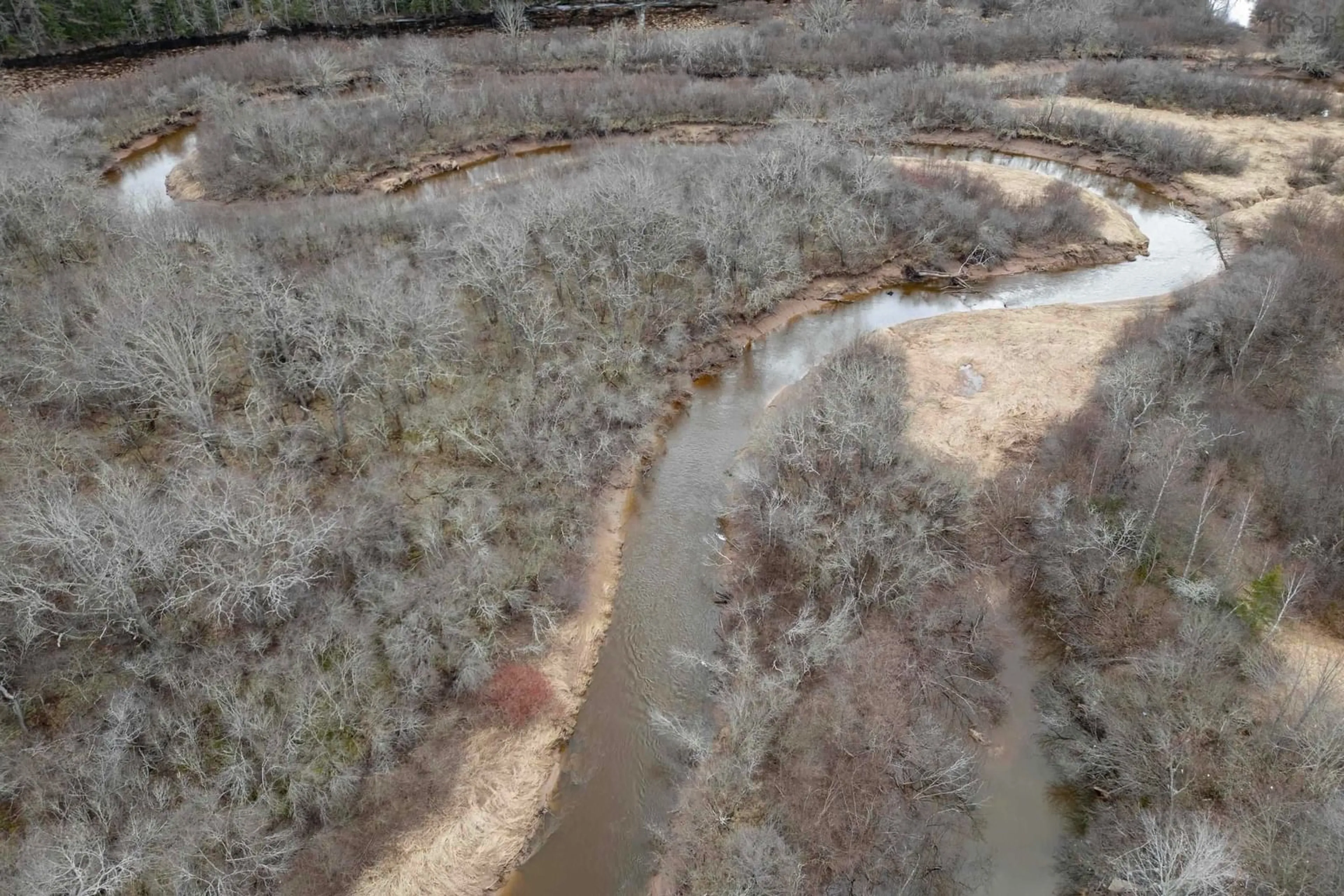 A pic from outside/outdoor area/front of a property/back of a property/a pic from drone, forest/trees view for 344 Little Forks Rd, Little Forks Nova Scotia B0M 1W0