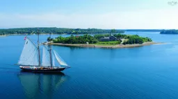 history photo preview