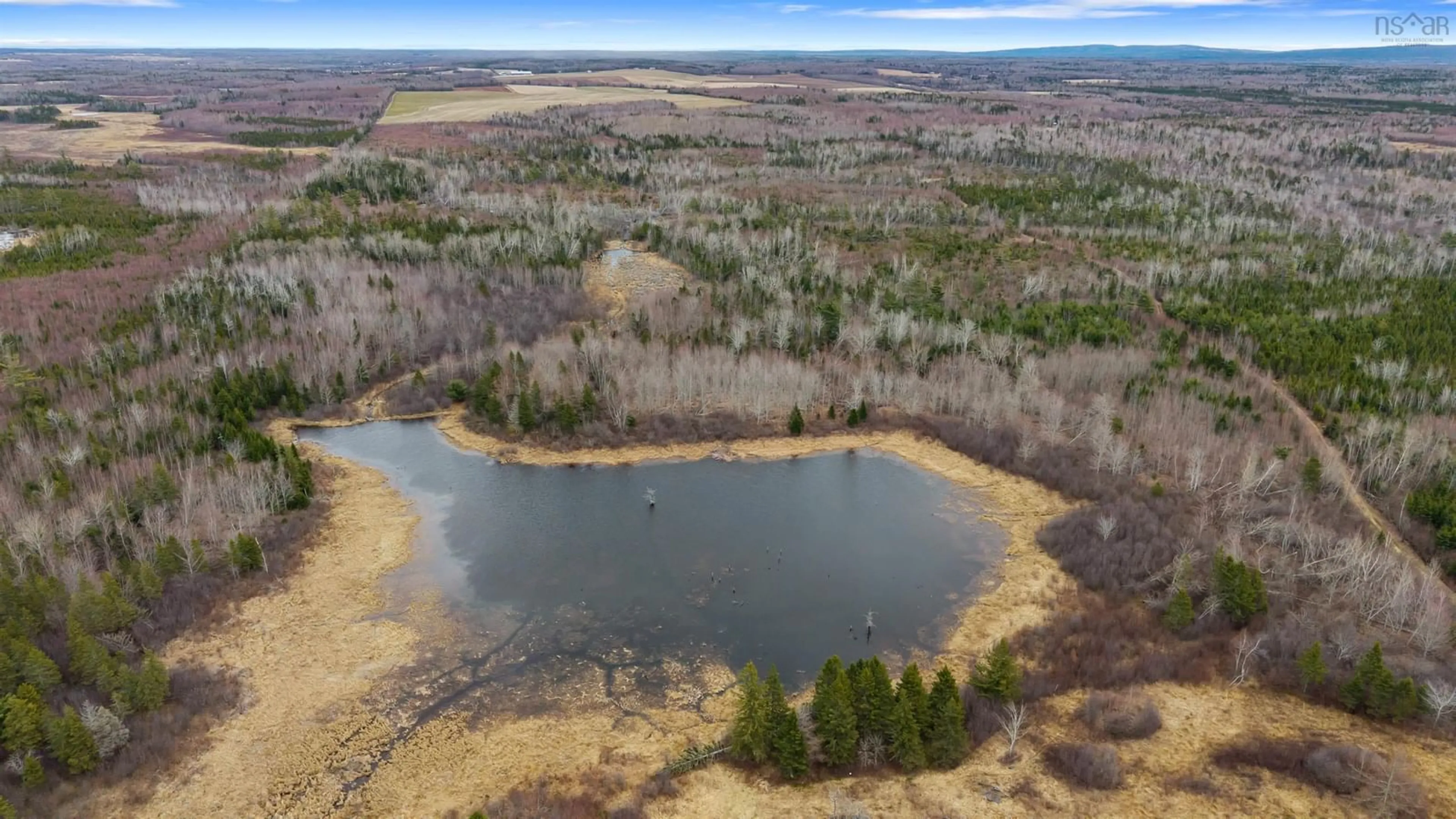 A pic from outside/outdoor area/front of a property/back of a property/a pic from drone, water/lake/river/ocean view for 3072 326 Hwy, Denmark Nova Scotia B0K 1V0