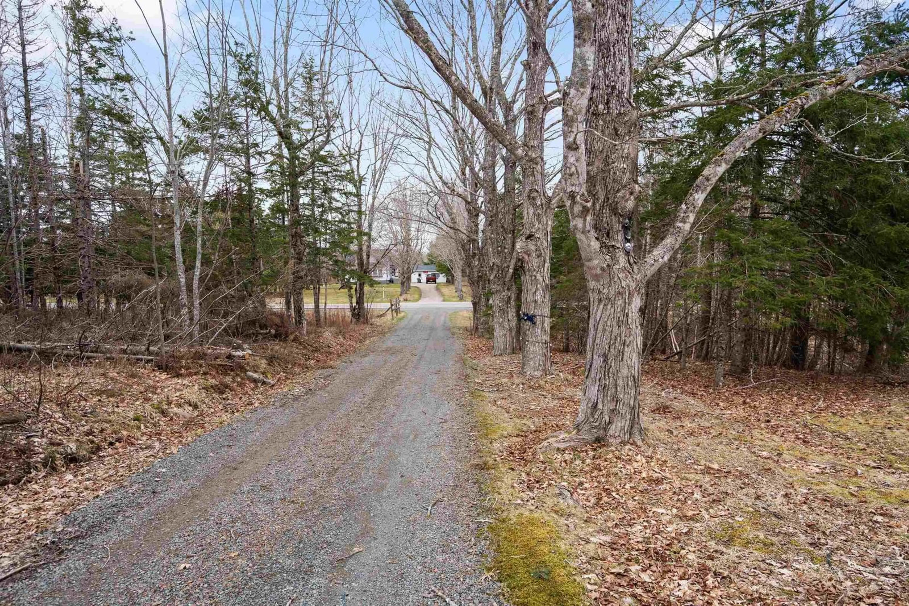 Unknown for 3072 326 Hwy, Denmark Nova Scotia B0K 1V0