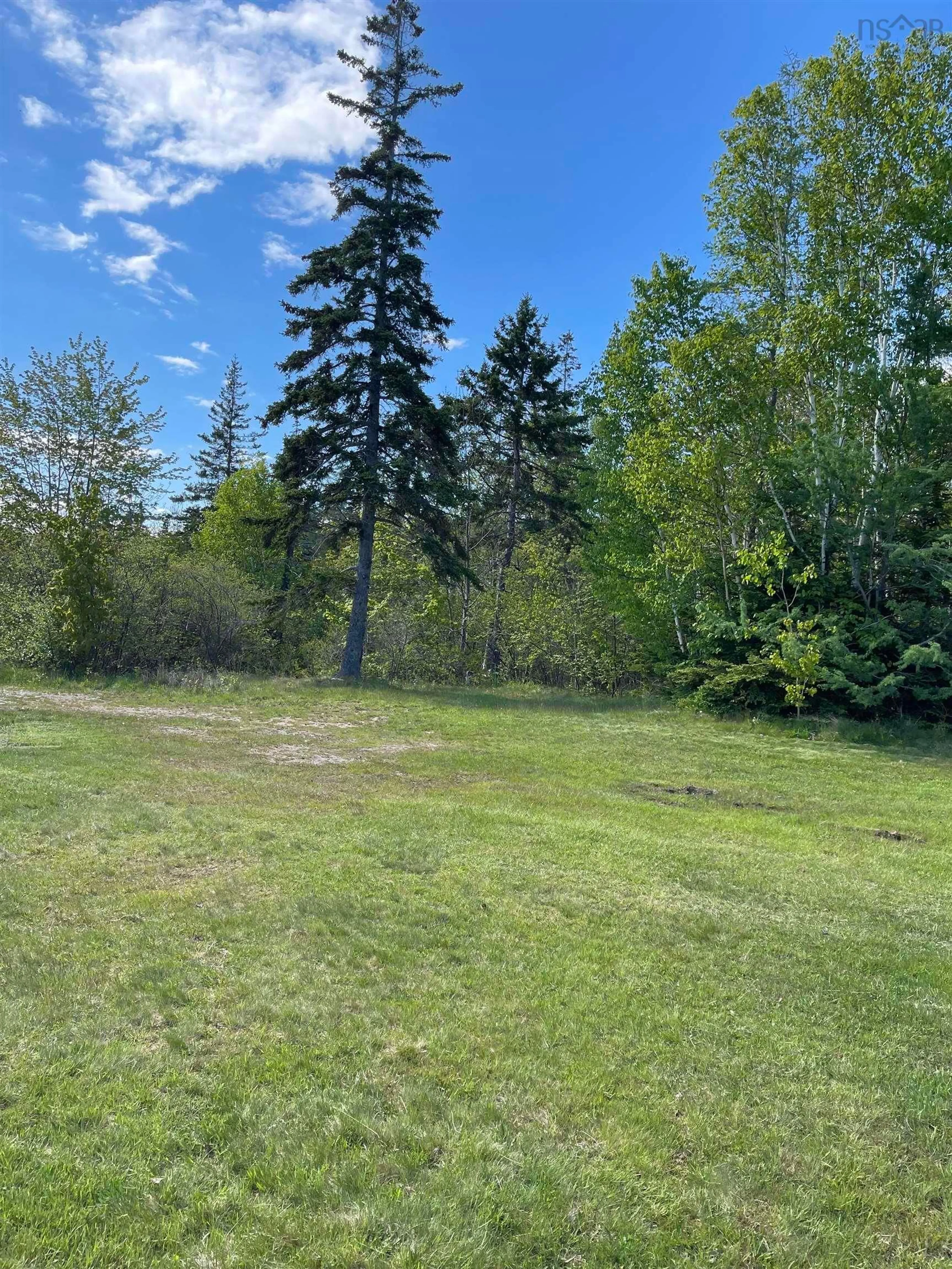 A pic from outside/outdoor area/front of a property/back of a property/a pic from drone, forest/trees view for 39 Tamarack Lane, Baddeck Nova Scotia B0E 1B0