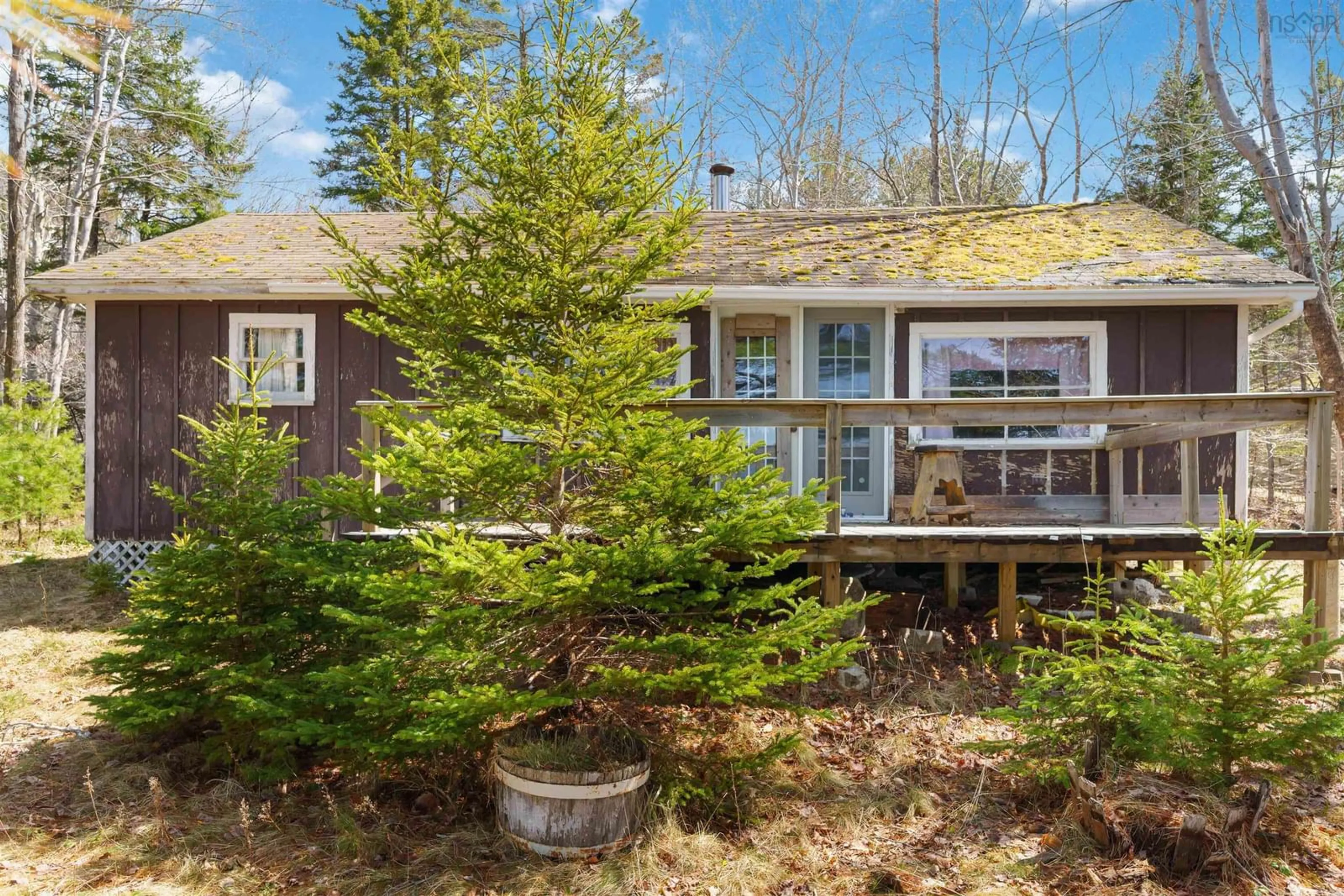 A pic from outside/outdoor area/front of a property/back of a property/a pic from drone, forest/trees view for 834 Virginia Rd, Virginia East Nova Scotia B0S 1G0