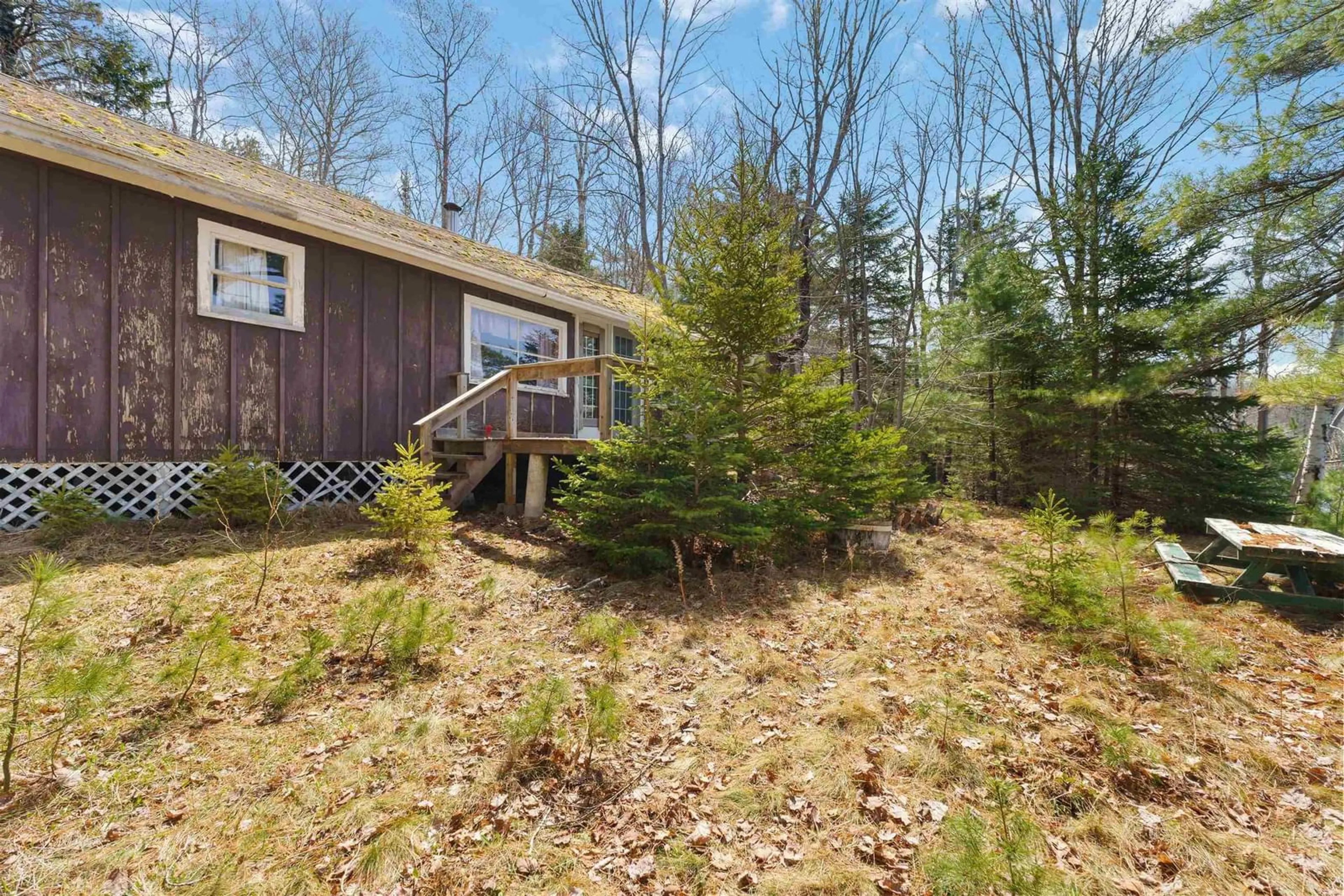 Patio, forest/trees view for 834 Virginia Rd, Virginia East Nova Scotia B0S 1G0