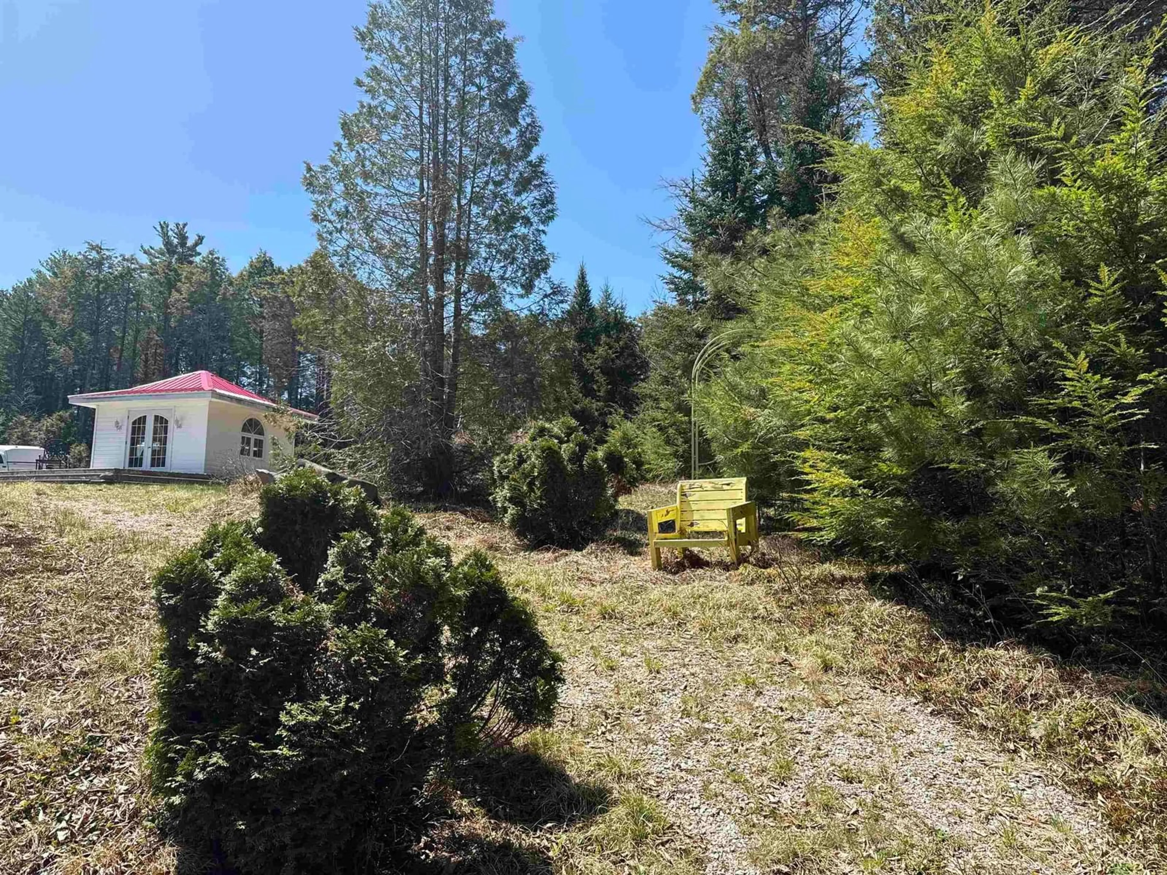 A pic from outside/outdoor area/front of a property/back of a property/a pic from drone, forest/trees view for 124 Roseway Dr, Upper Ohio Nova Scotia B0T 1W0
