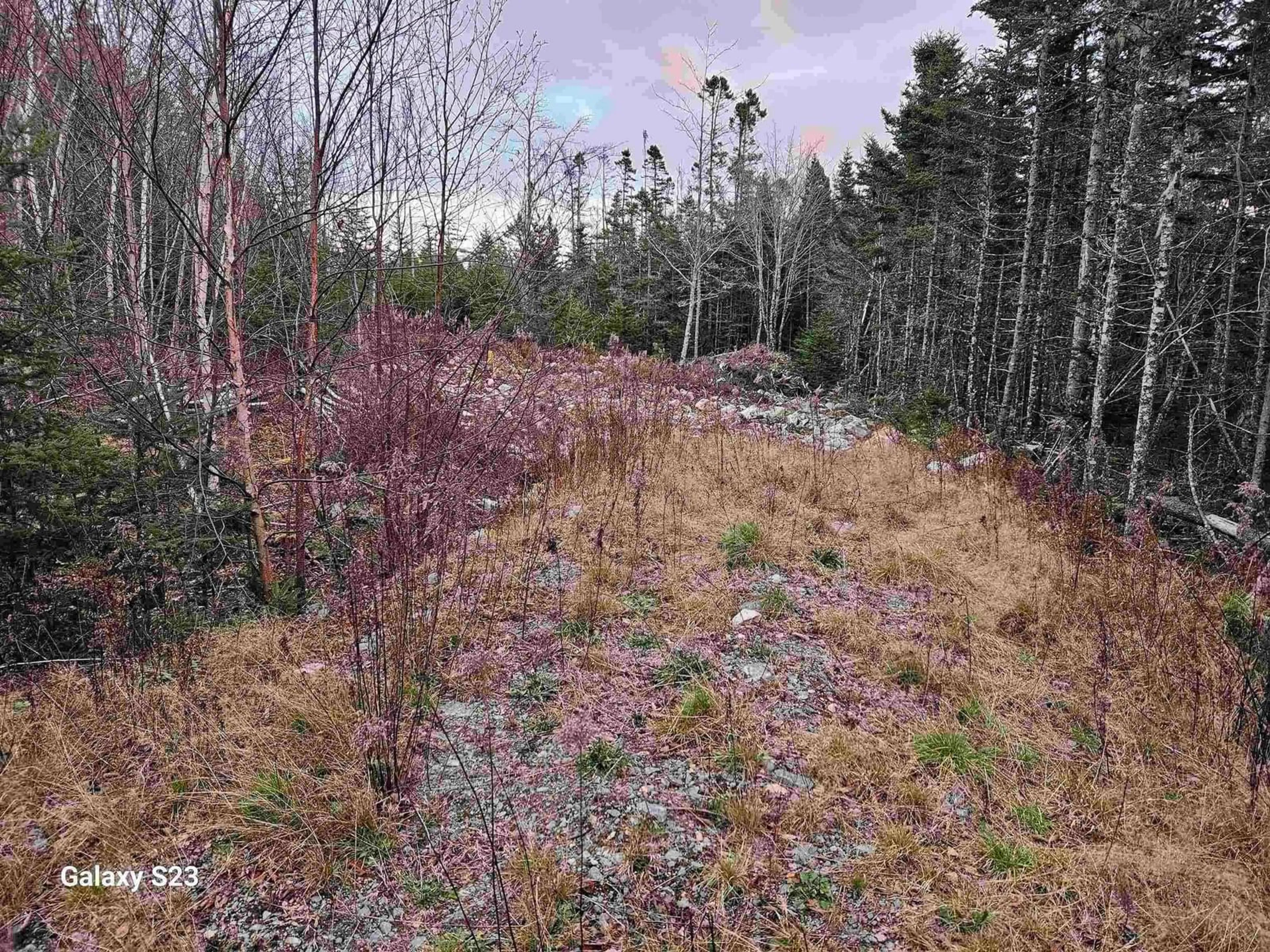 Unknown for 165 Ostrea Lake Rd, Musquodoboit Harbour Nova Scotia B2Z 1E9