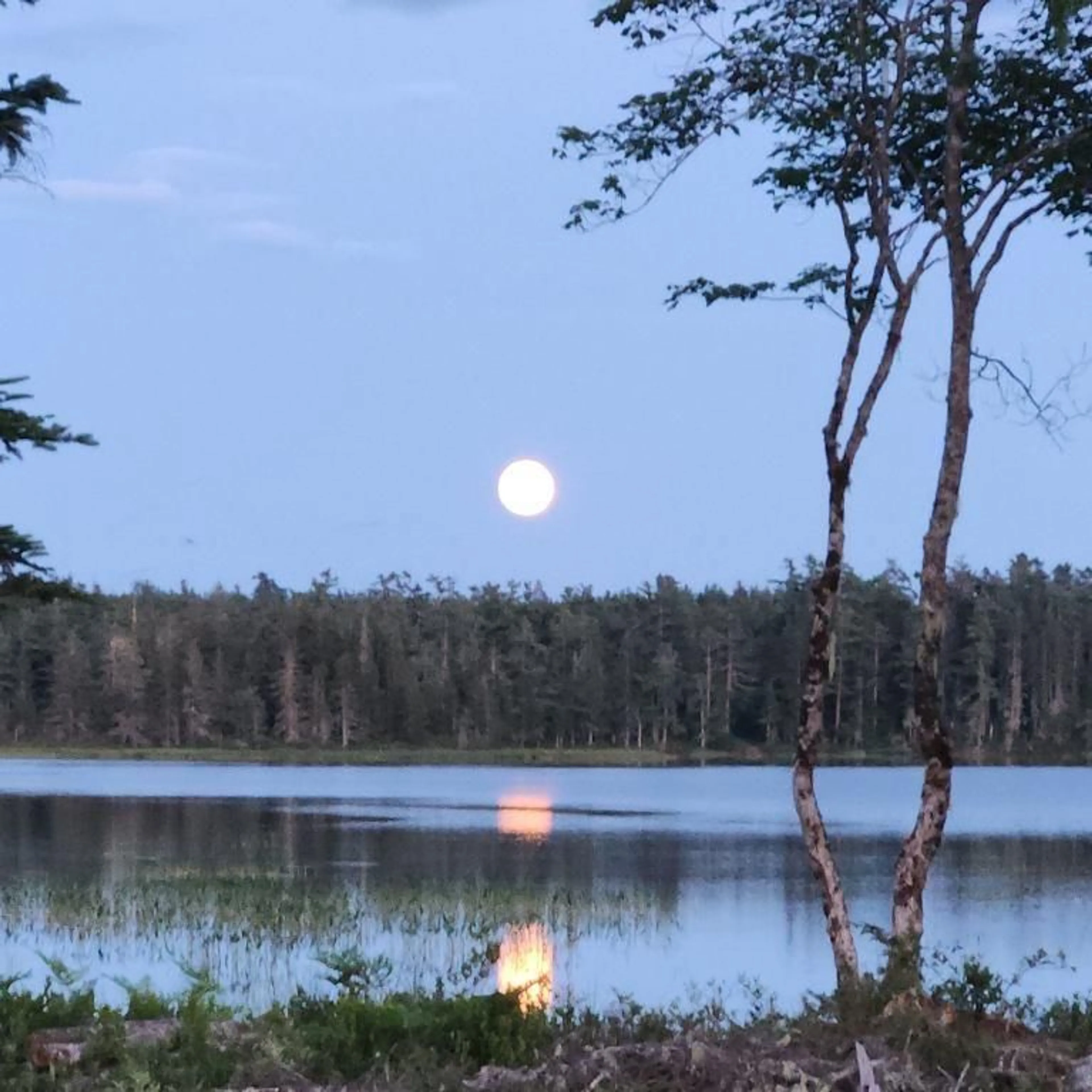 Unknown for Italy Cross Rd #Lot, Petite Rivière Nova Scotia B4V 5W7