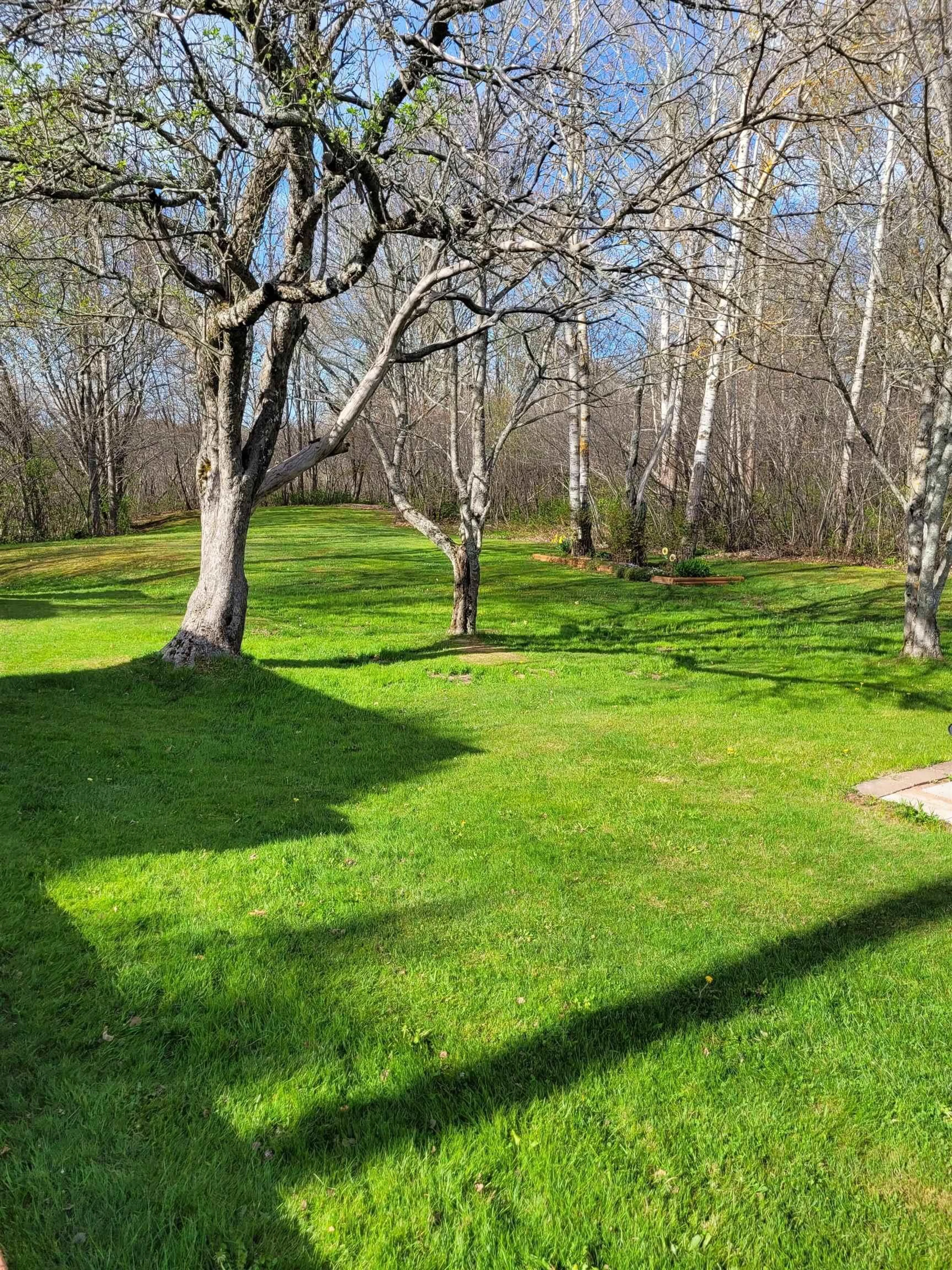 A pic from outside/outdoor area/front of a property/back of a property/a pic from drone, forest/trees view for 18906 Highway 2, Upper Nappan Nova Scotia B0L 1C0