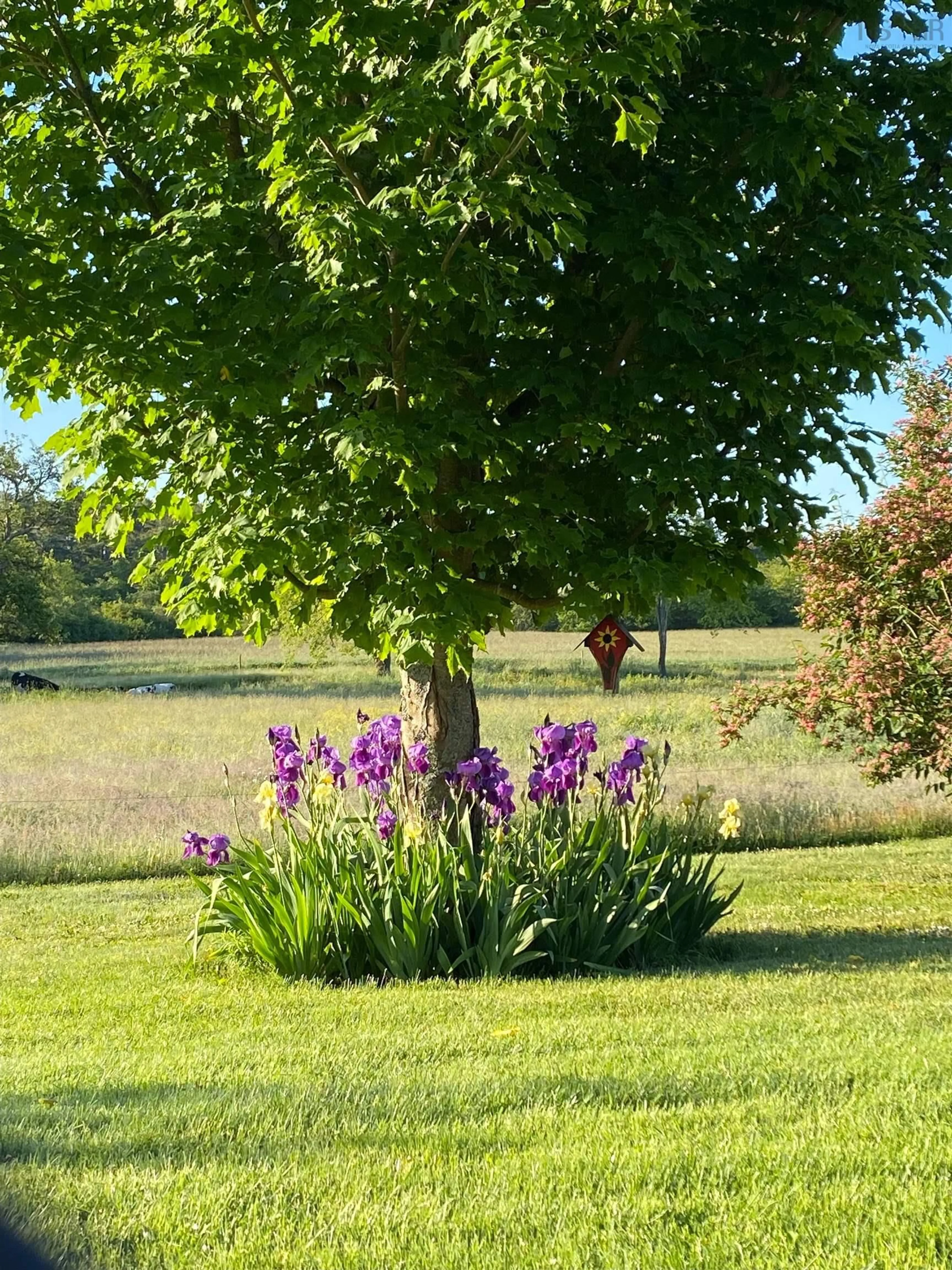 A pic from outside/outdoor area/front of a property/back of a property/a pic from drone, unknown for 648 Brooklyn St, North Kingston Nova Scotia B0P 1R0